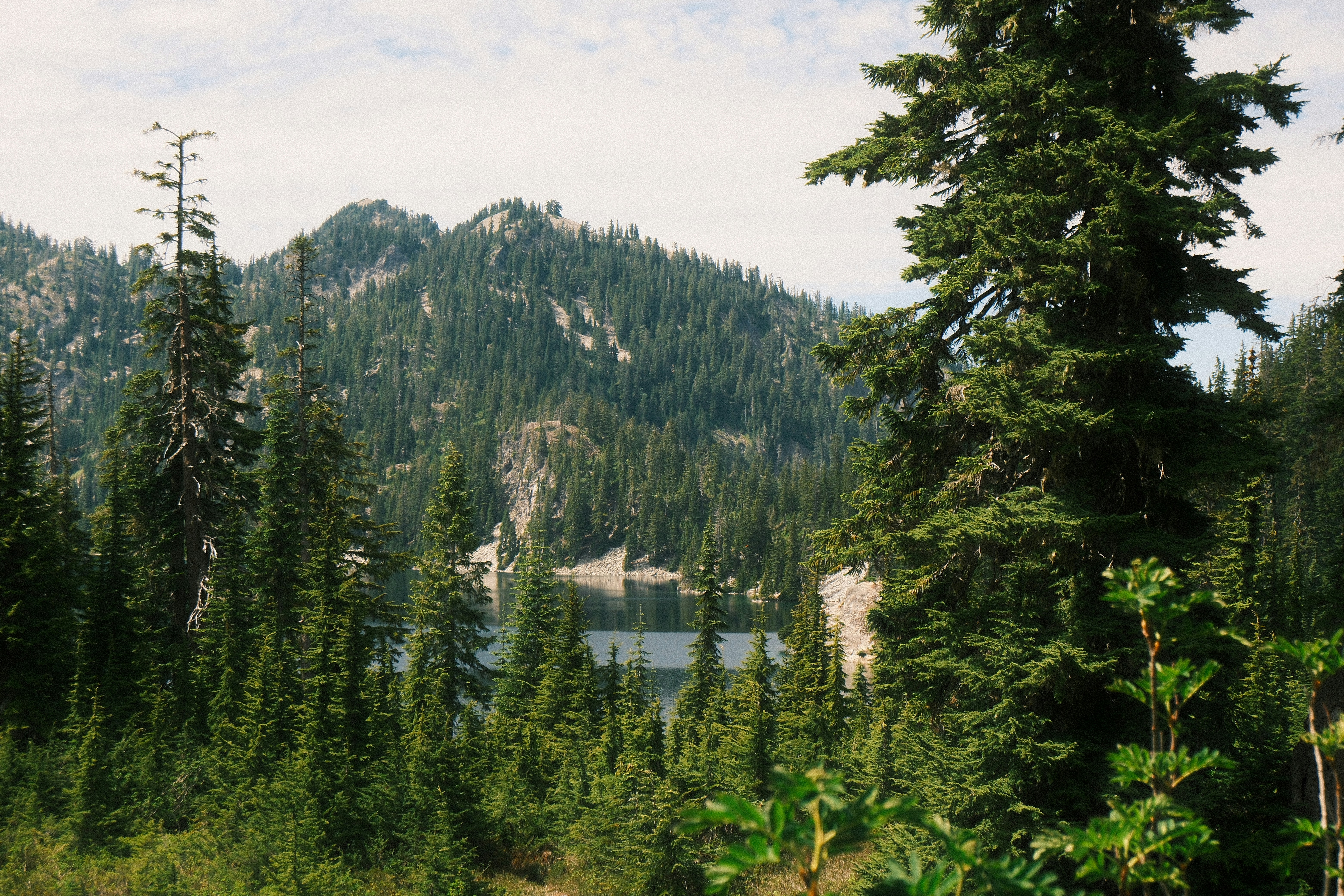 A serene lake surrounded by evergreen forests and distant mountains.