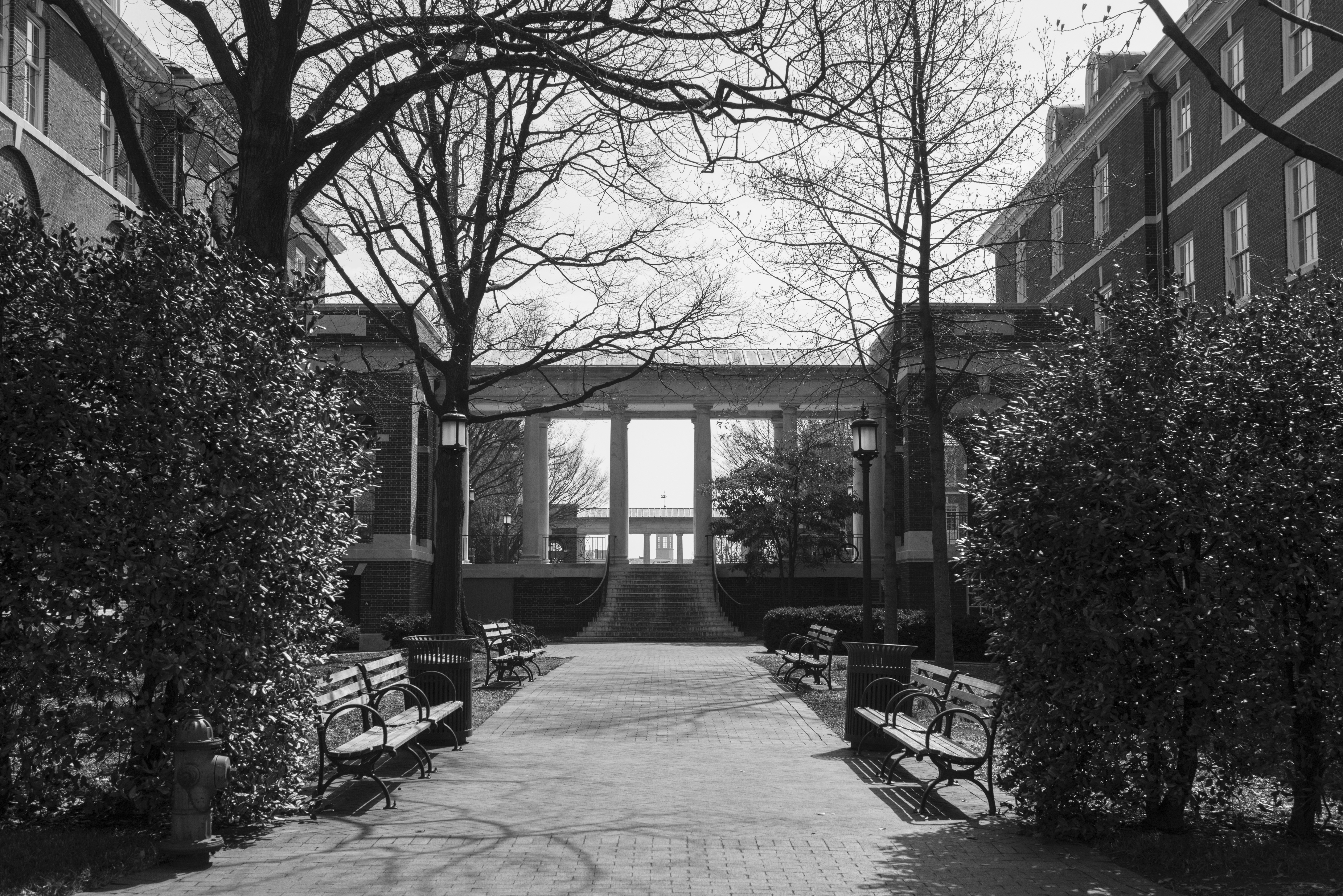 A courtyard path leading to an open structure between buildings