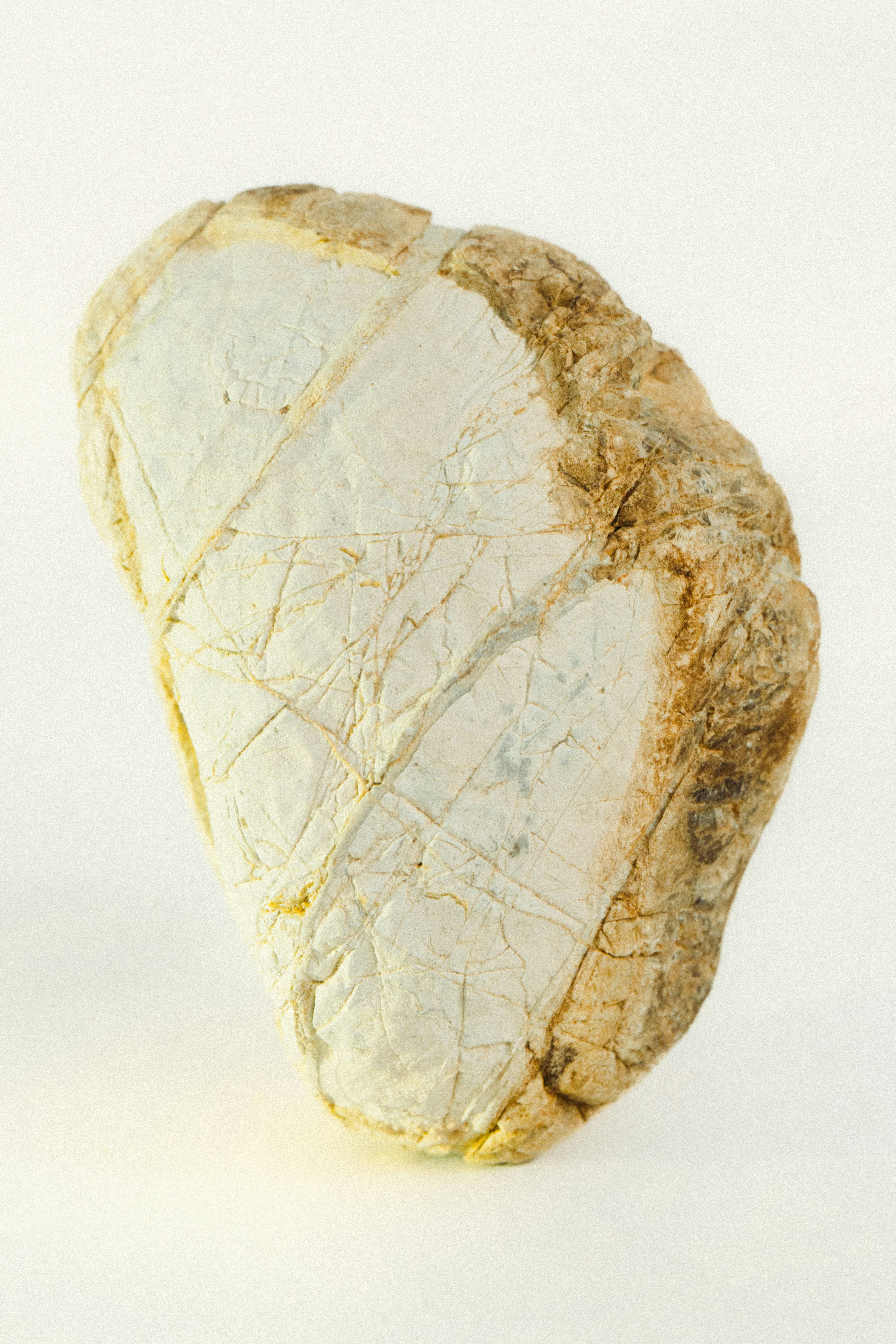A light-colored rock with cracks on a white background.