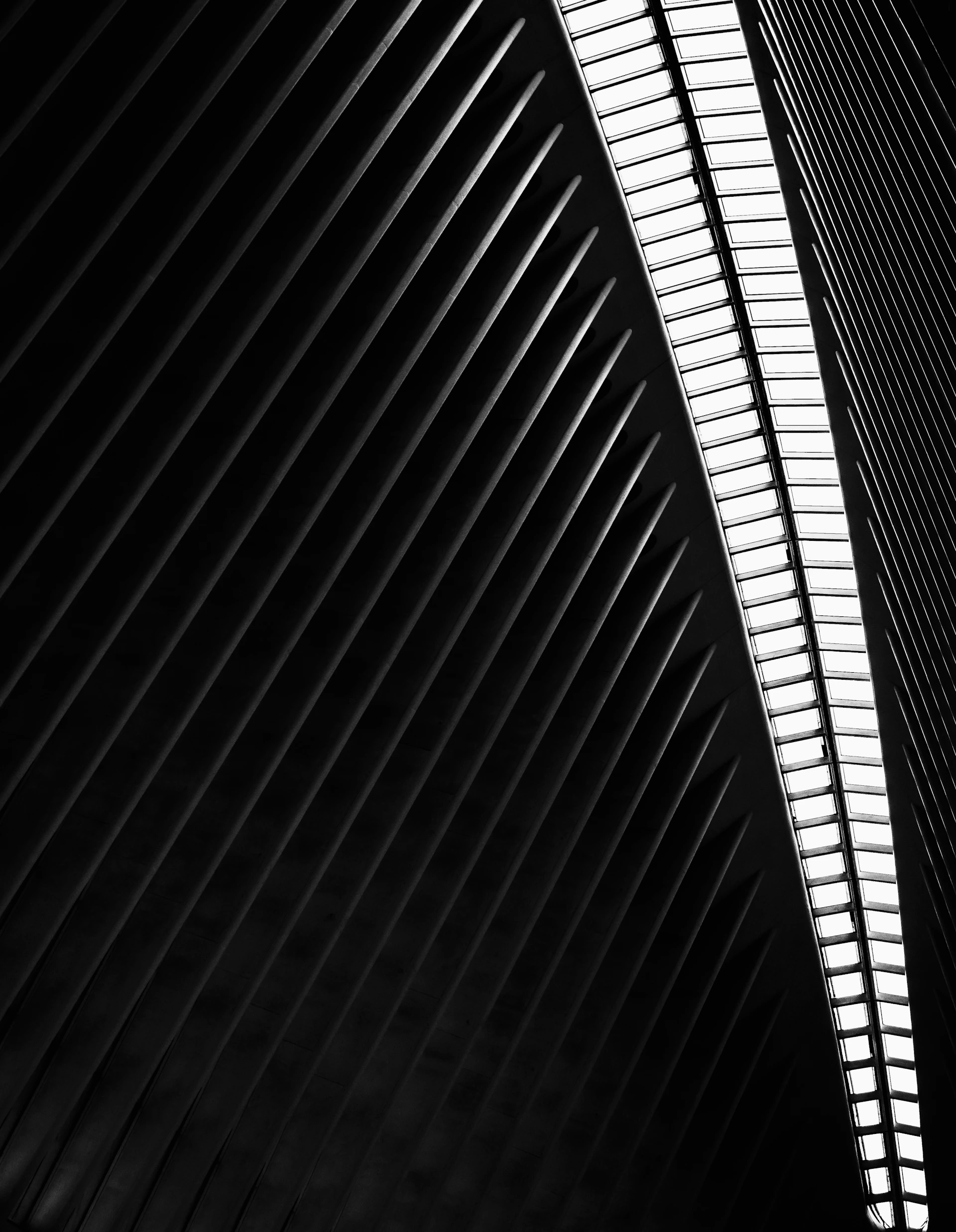 Black and white abstract architecture with strong lines and light.