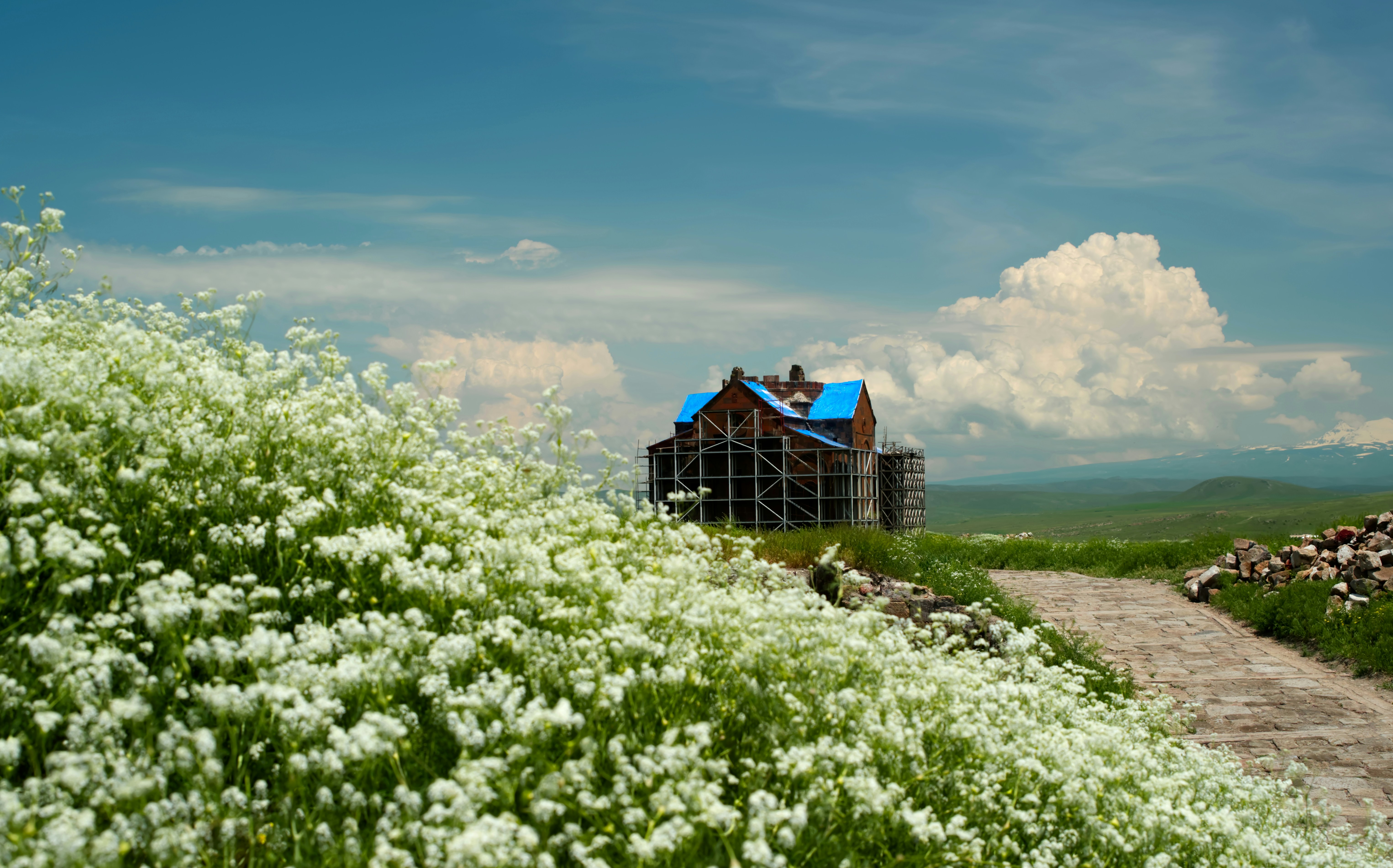 Weiße Wildblumen rahmen ein im Bau befindliches Gebäude unter blauem Himmel ein.