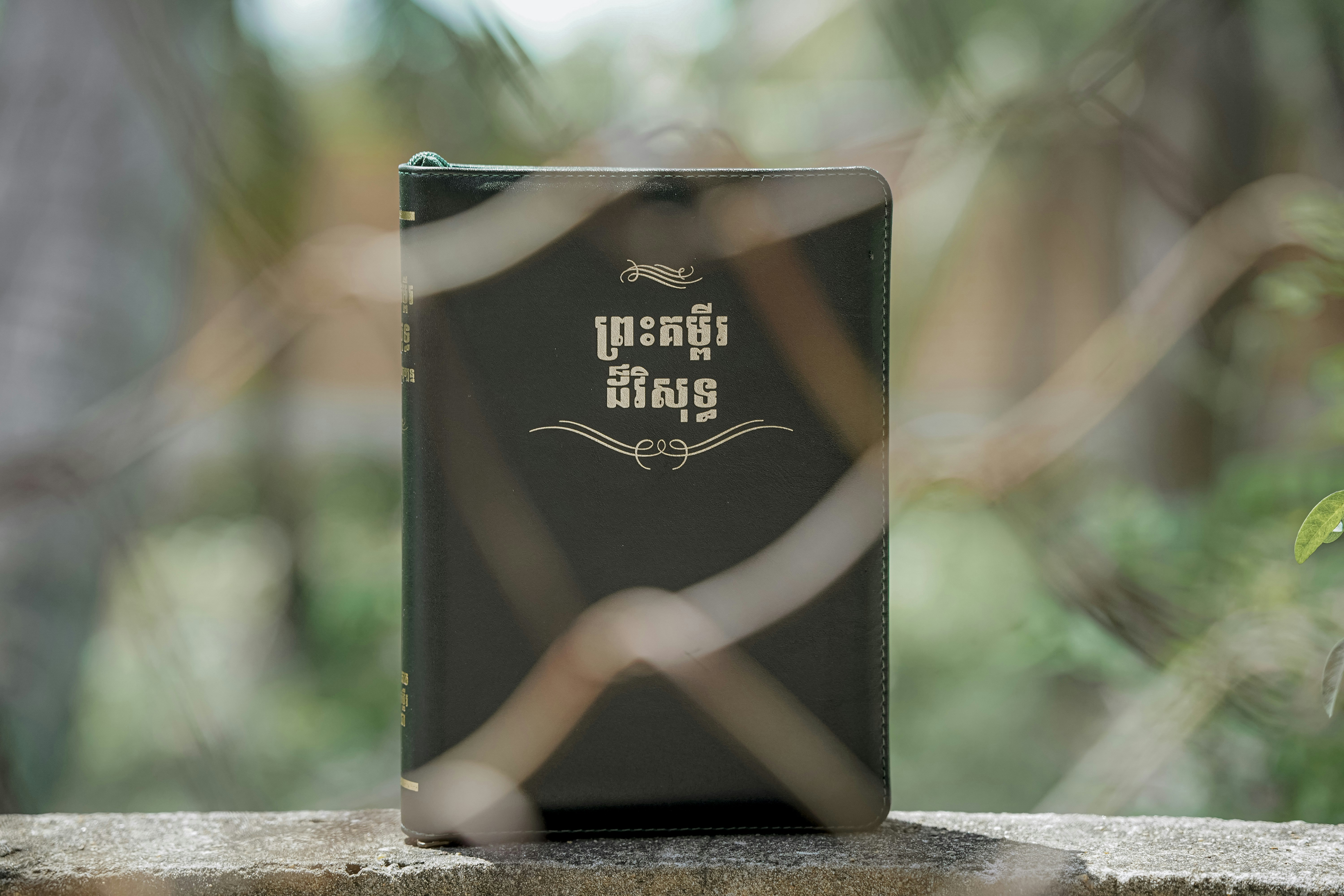 A black book with foreign script seen through blurred leaves.