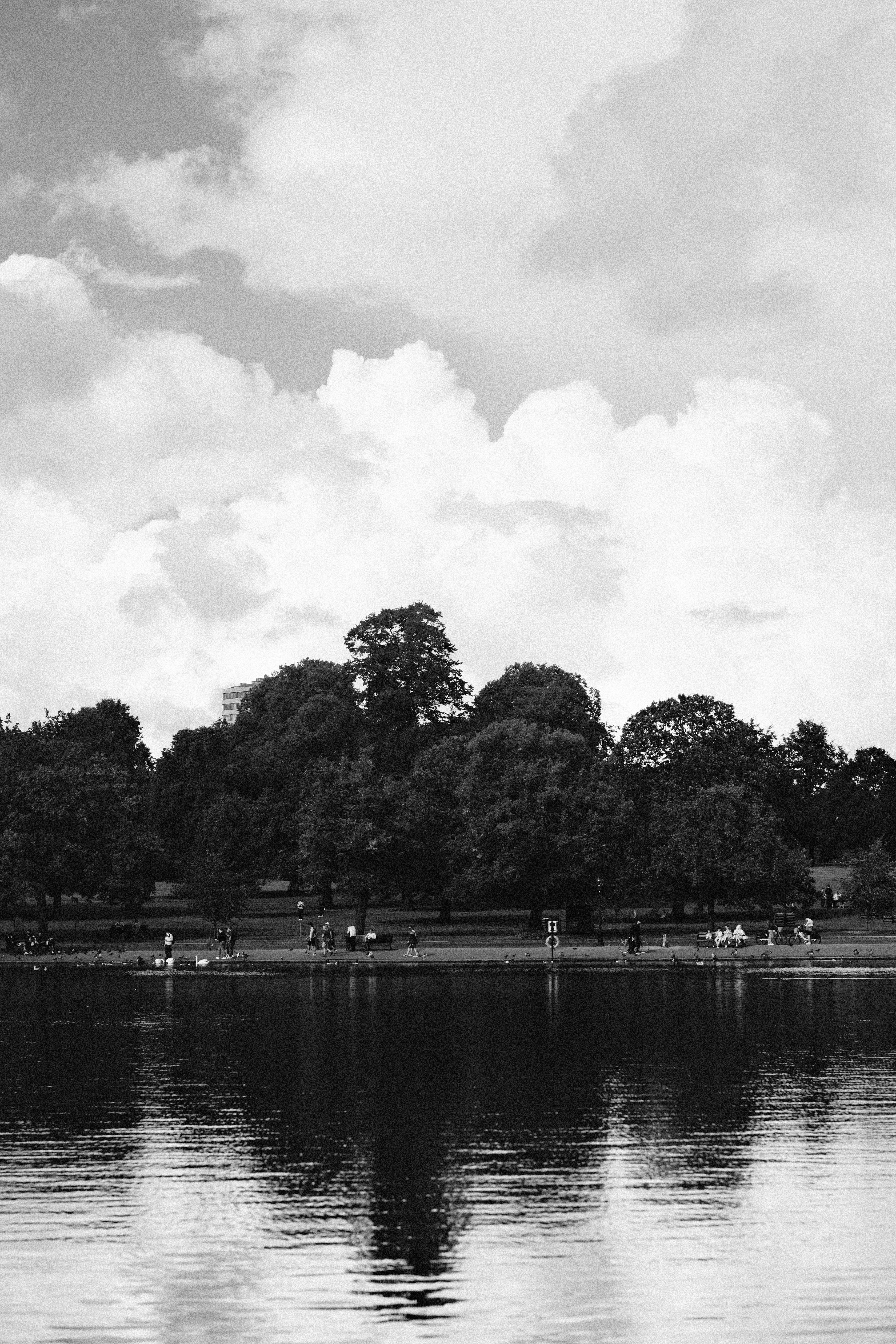 Lake reflects trees and cloudy sky in monochrome.