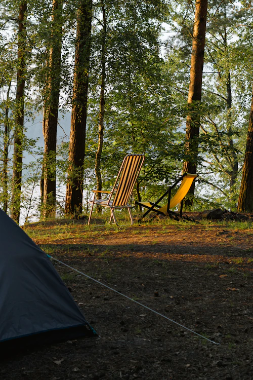 Sillas plegables de camping en el bosque
