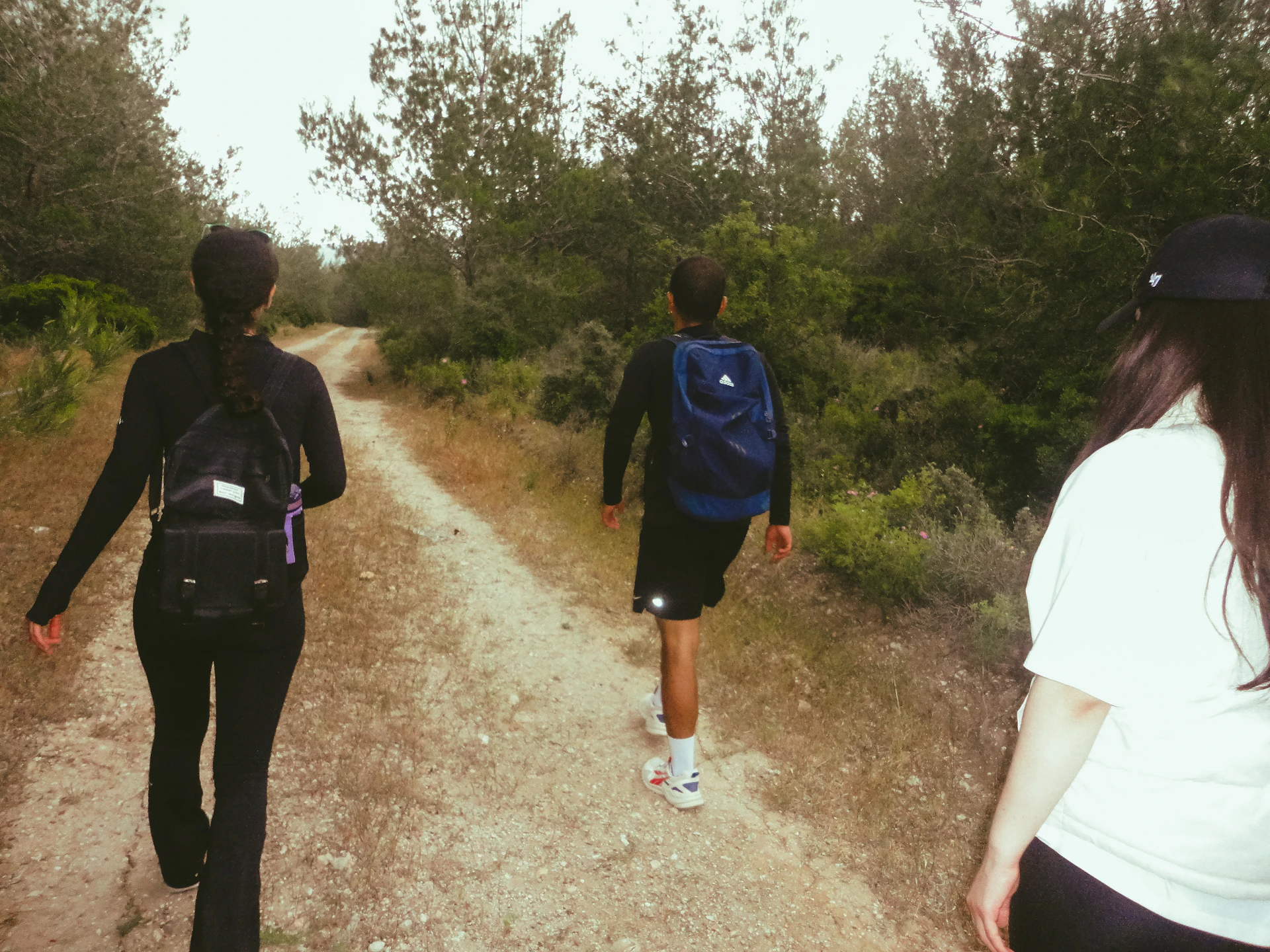 Three people walk on a dirt path through a forest.