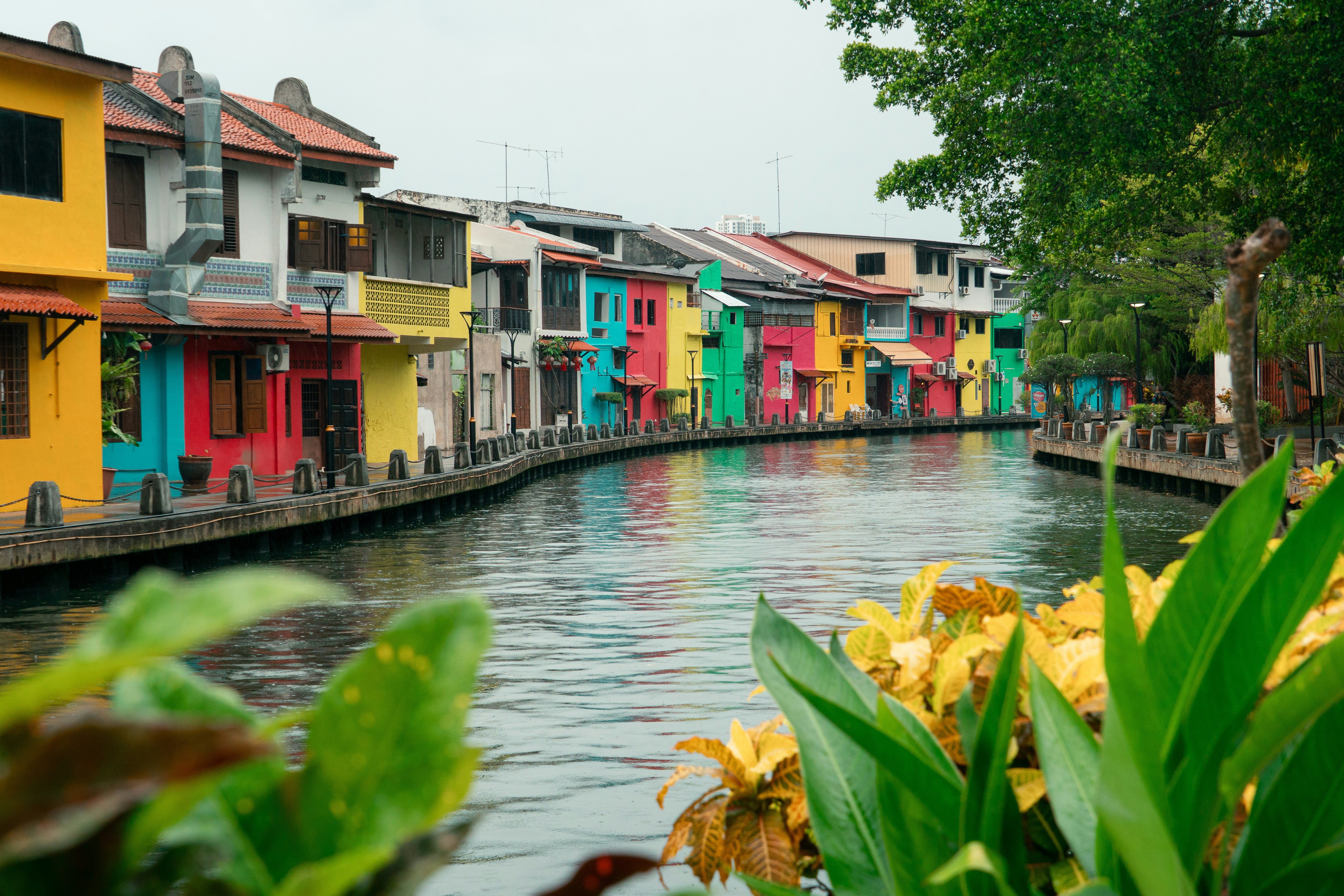Colorful buildings line a canal with green plants.