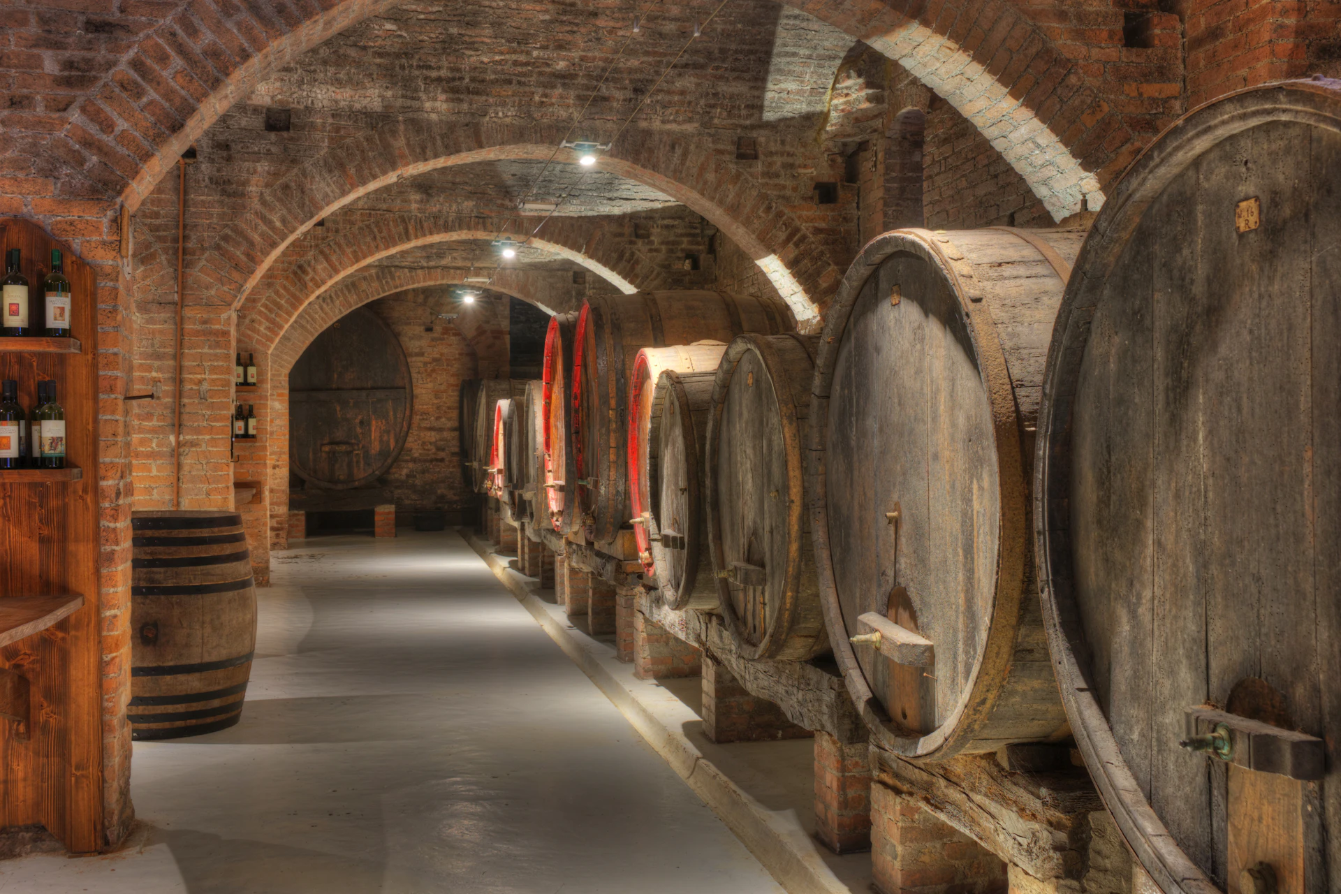 Cantina con volte in mattoni e grandi botti di rovere