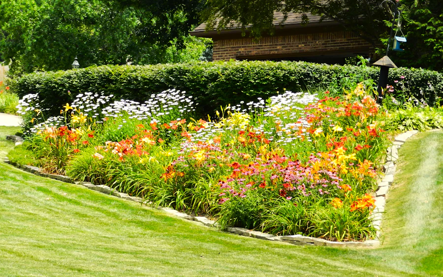 3D Landscape Design in Frisco, TX