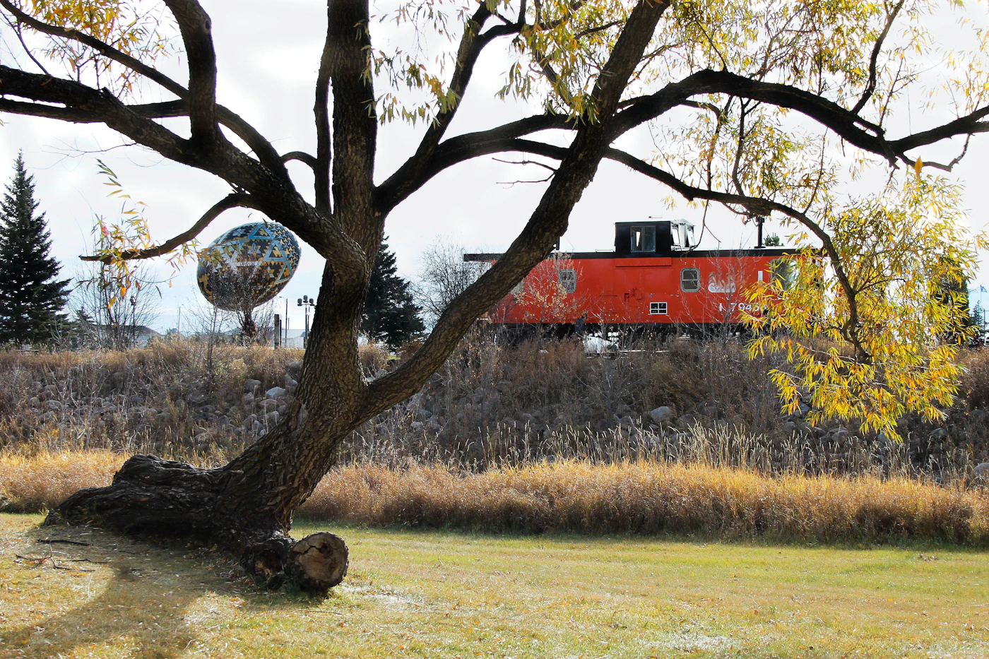 Red caboose and the Vegreville pysanka behind an autumn tree