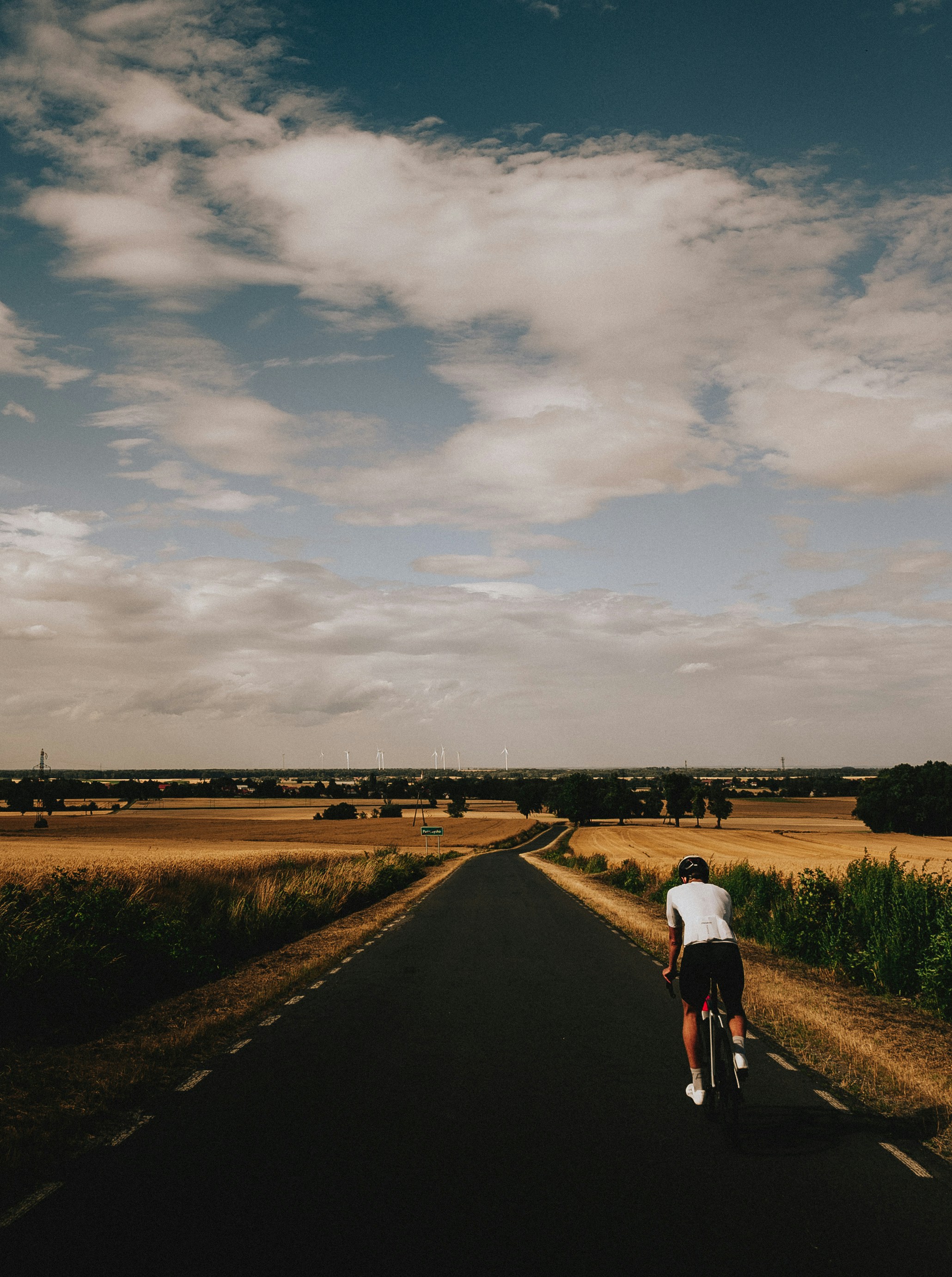 A cyclist rides on a road through golden fields.