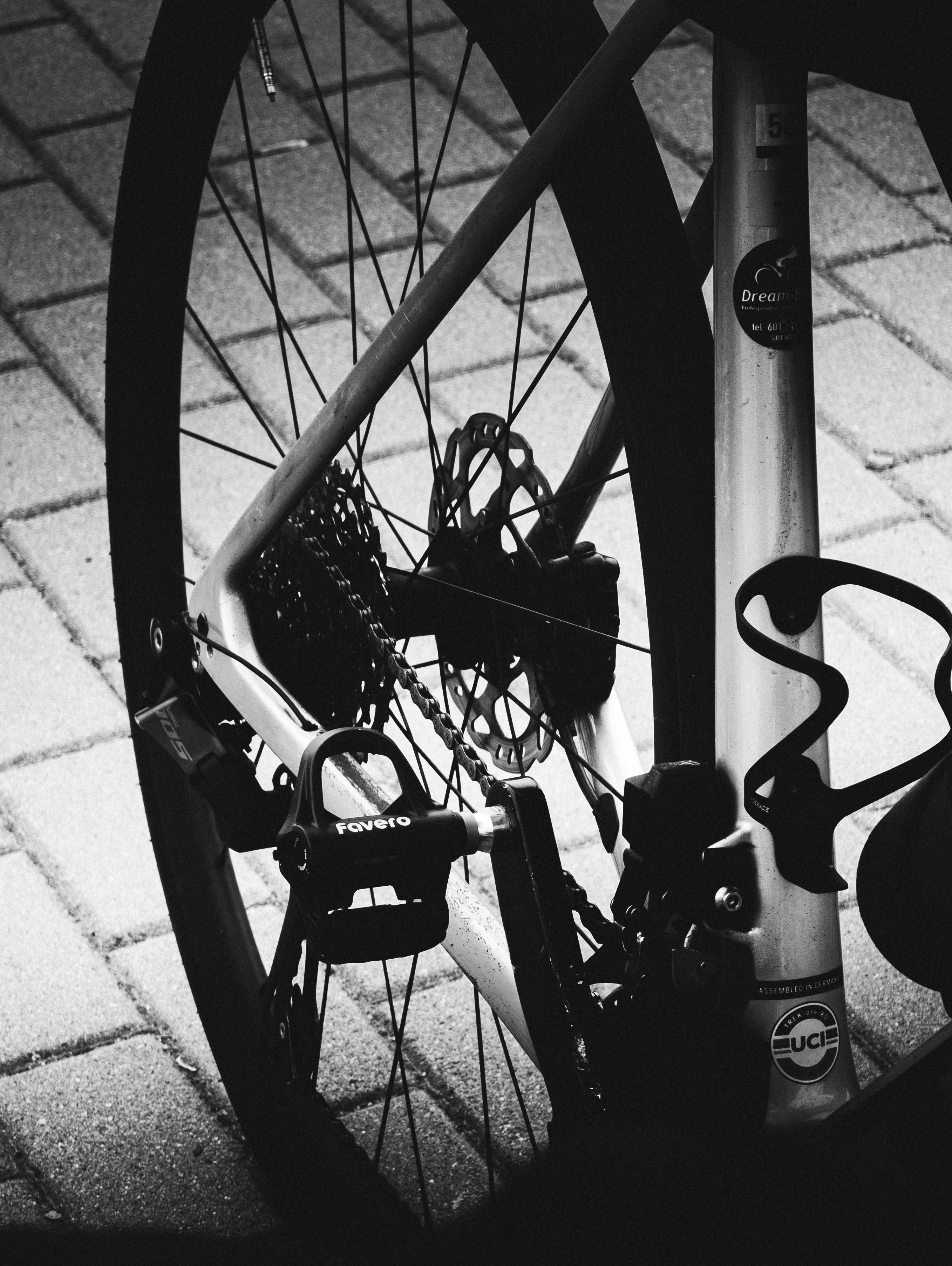 Bicycle rear wheel, disc brake, and pedal on paved ground.