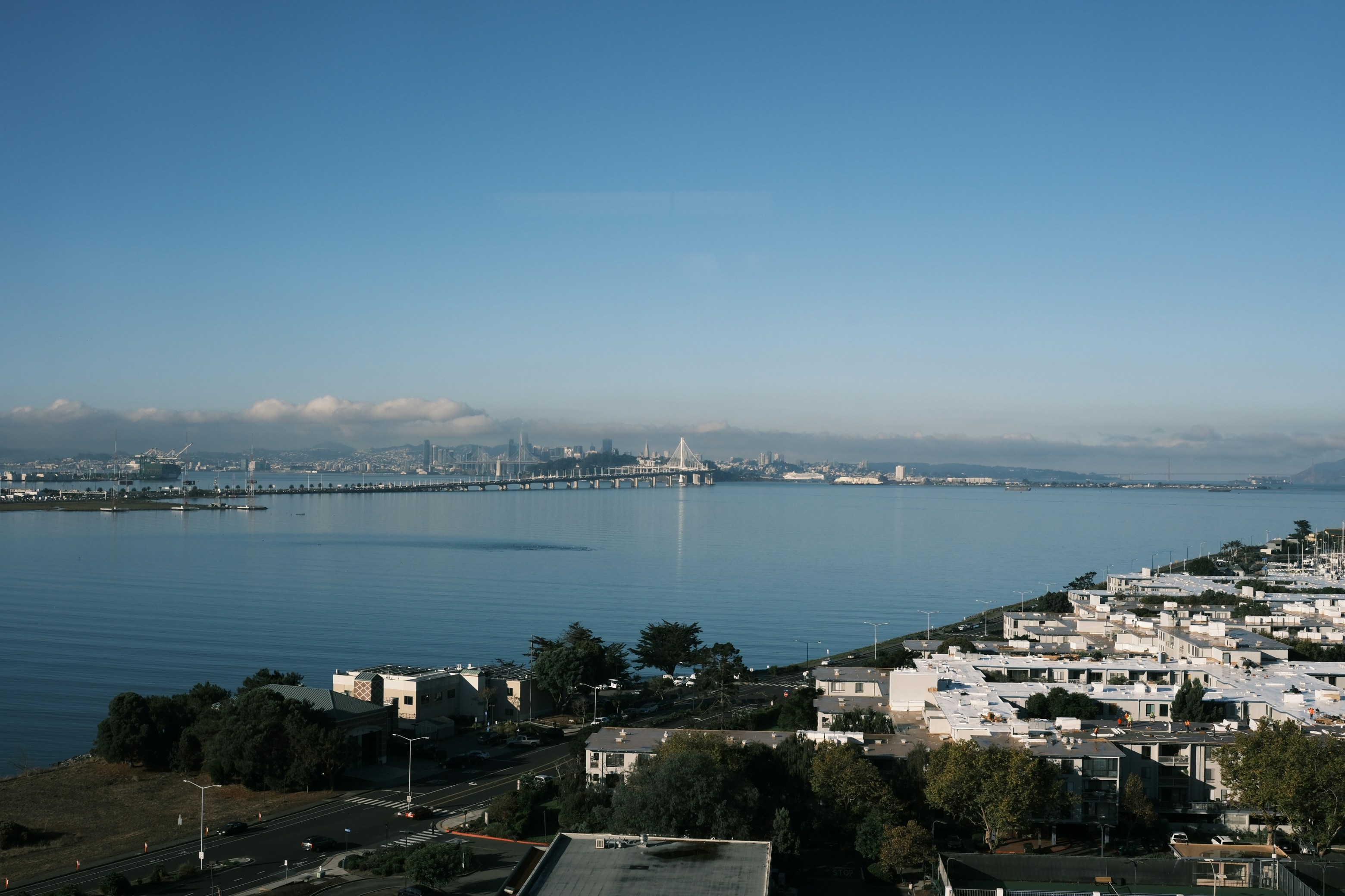 Humpday Headlines: East Bay Cat Euthanized After Getting Rabies