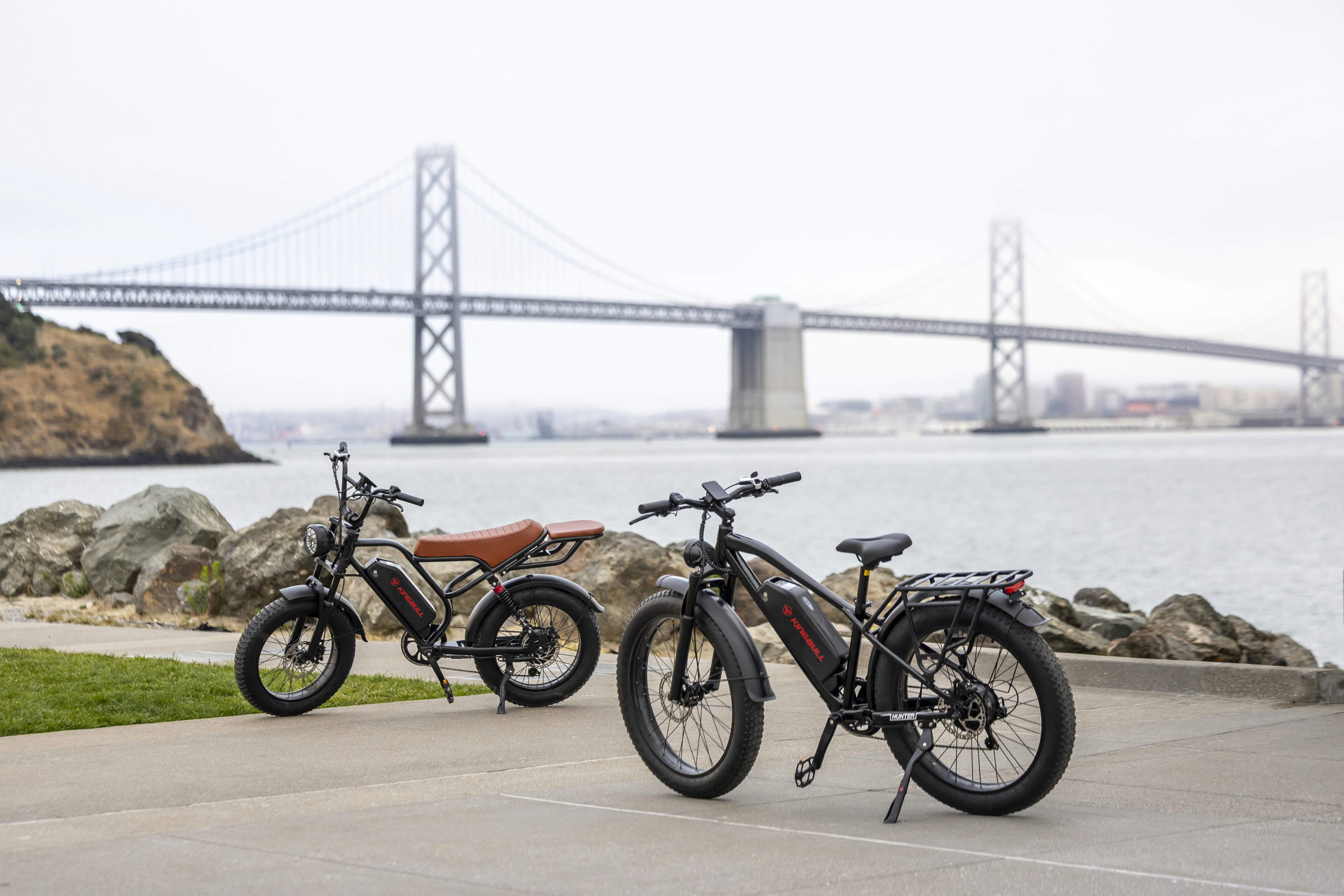 Two electric bikes parked by a bay with a bridge.
