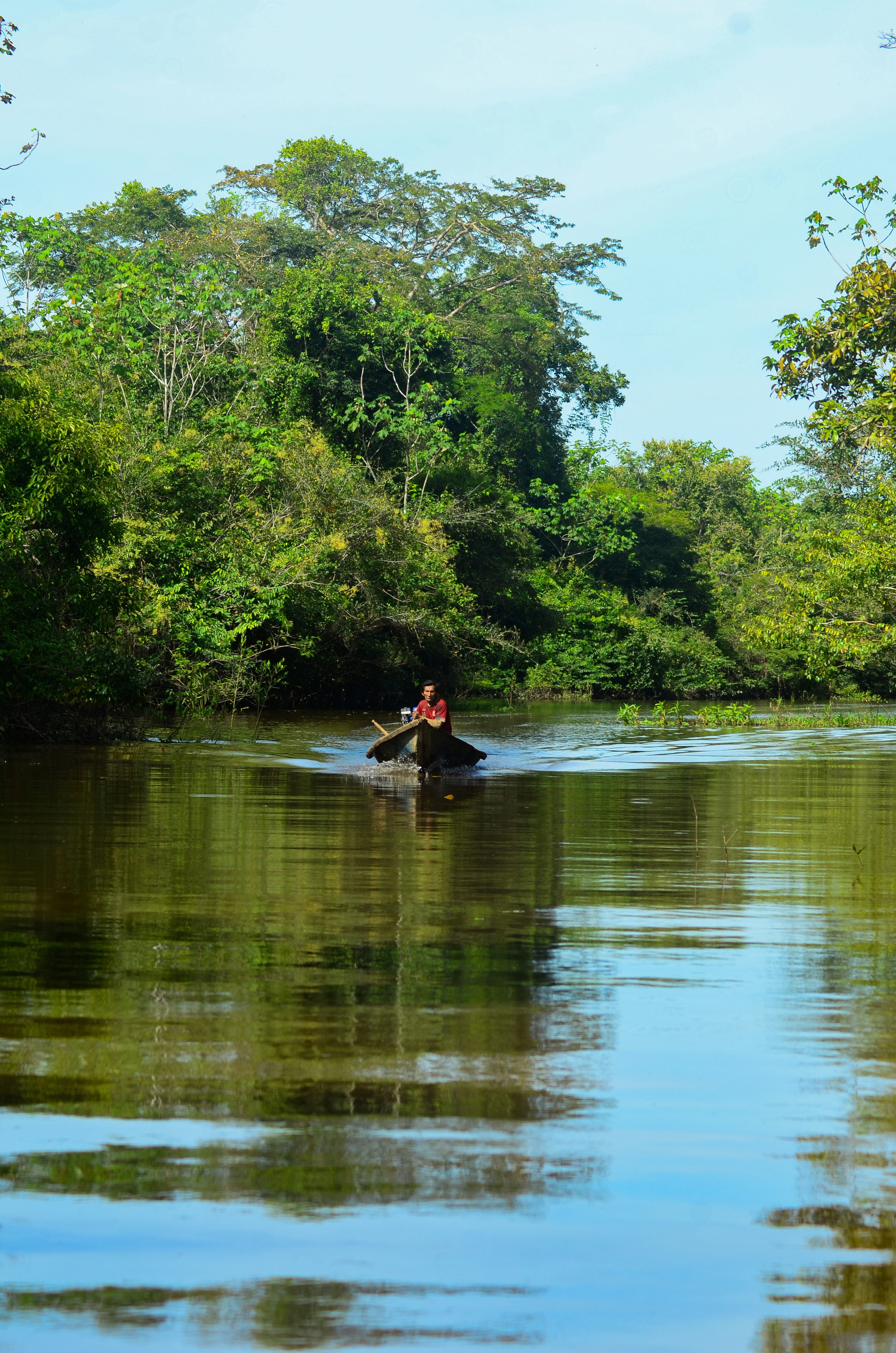 A person paddles a small boat on a jungle river.