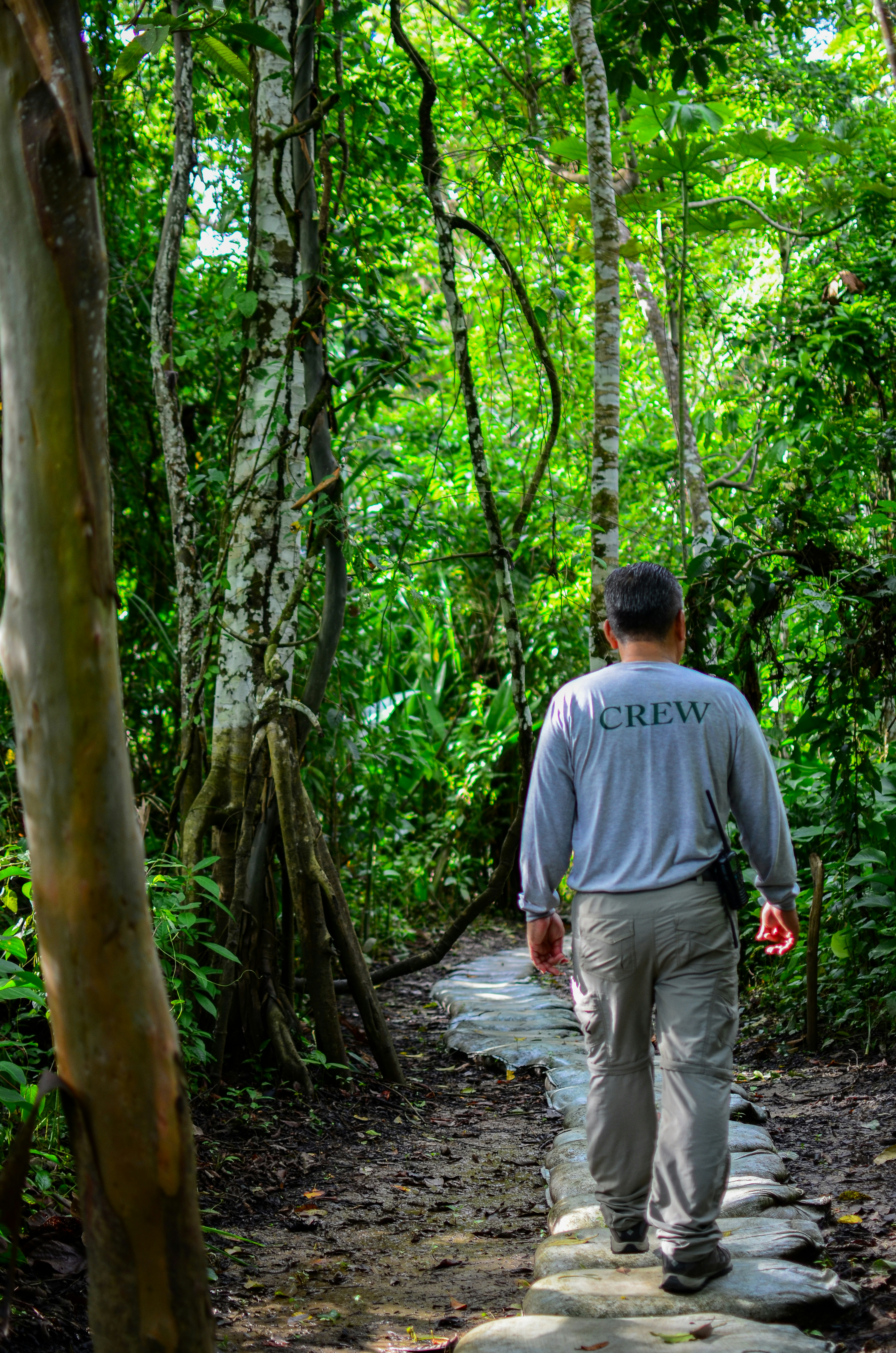 Man in grey shirt walks on stone jungle path.