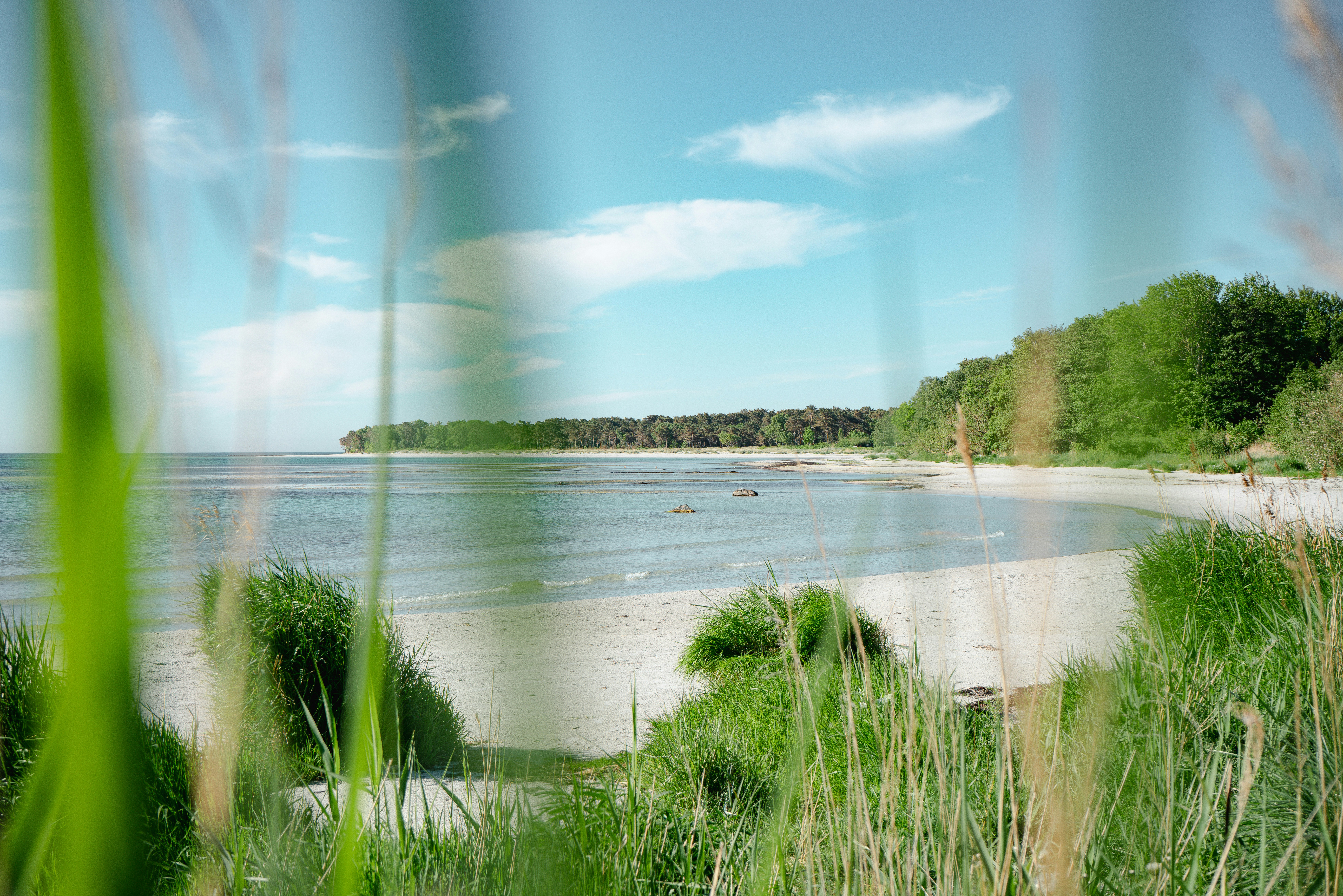 Serene beach framed by green grass under a blue sky