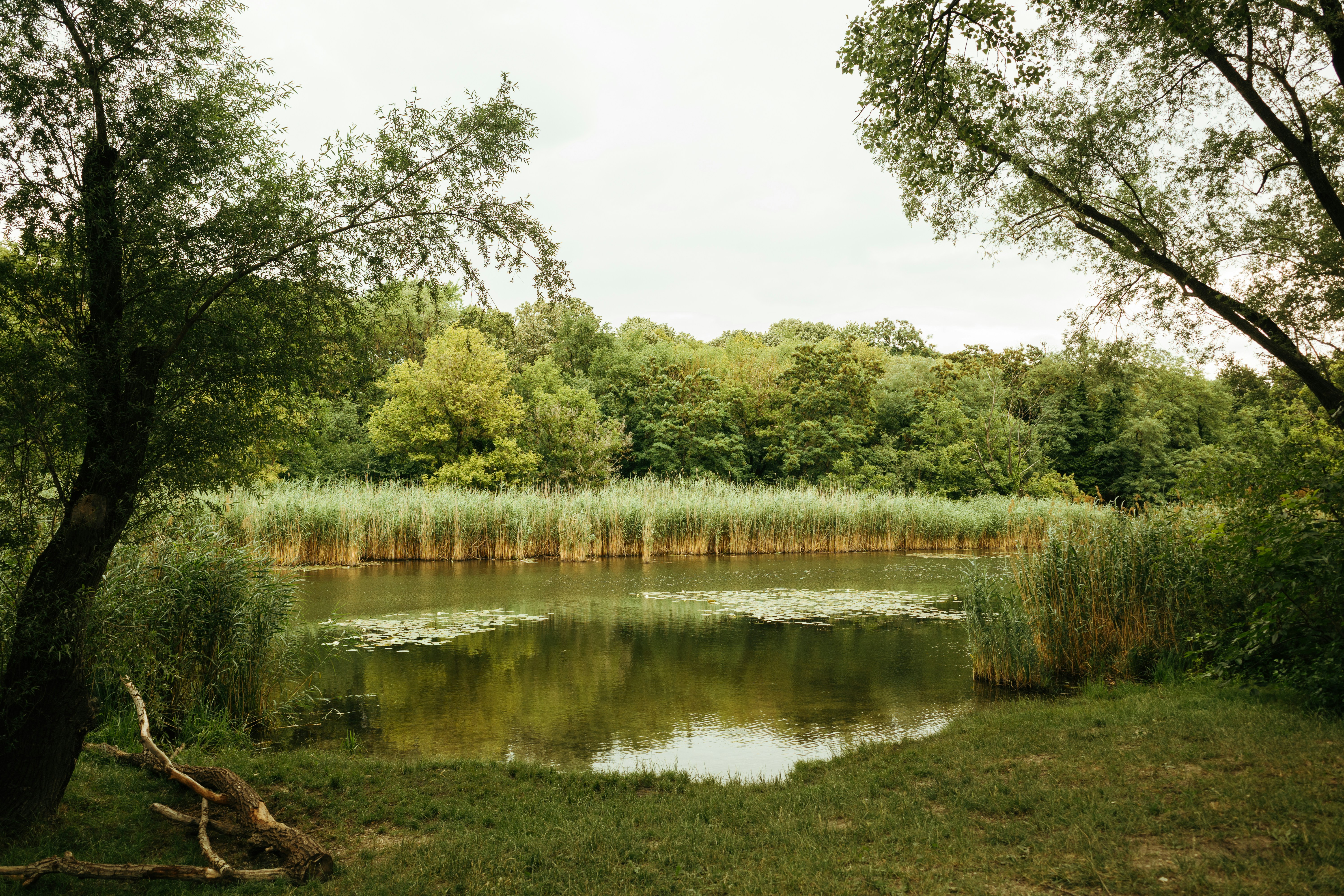 Hundeauslaufzone Teesdorf