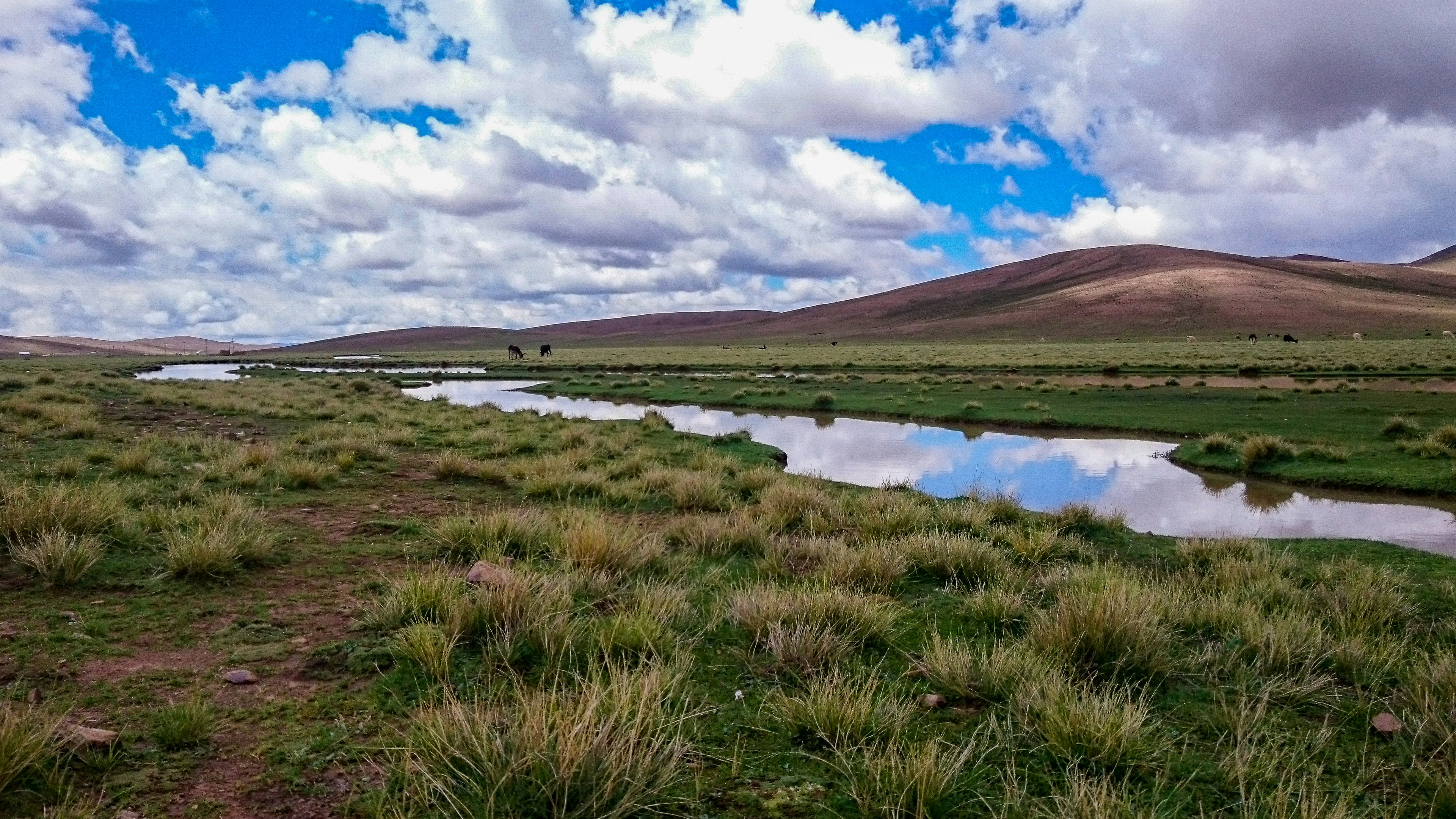Winding river through grassland