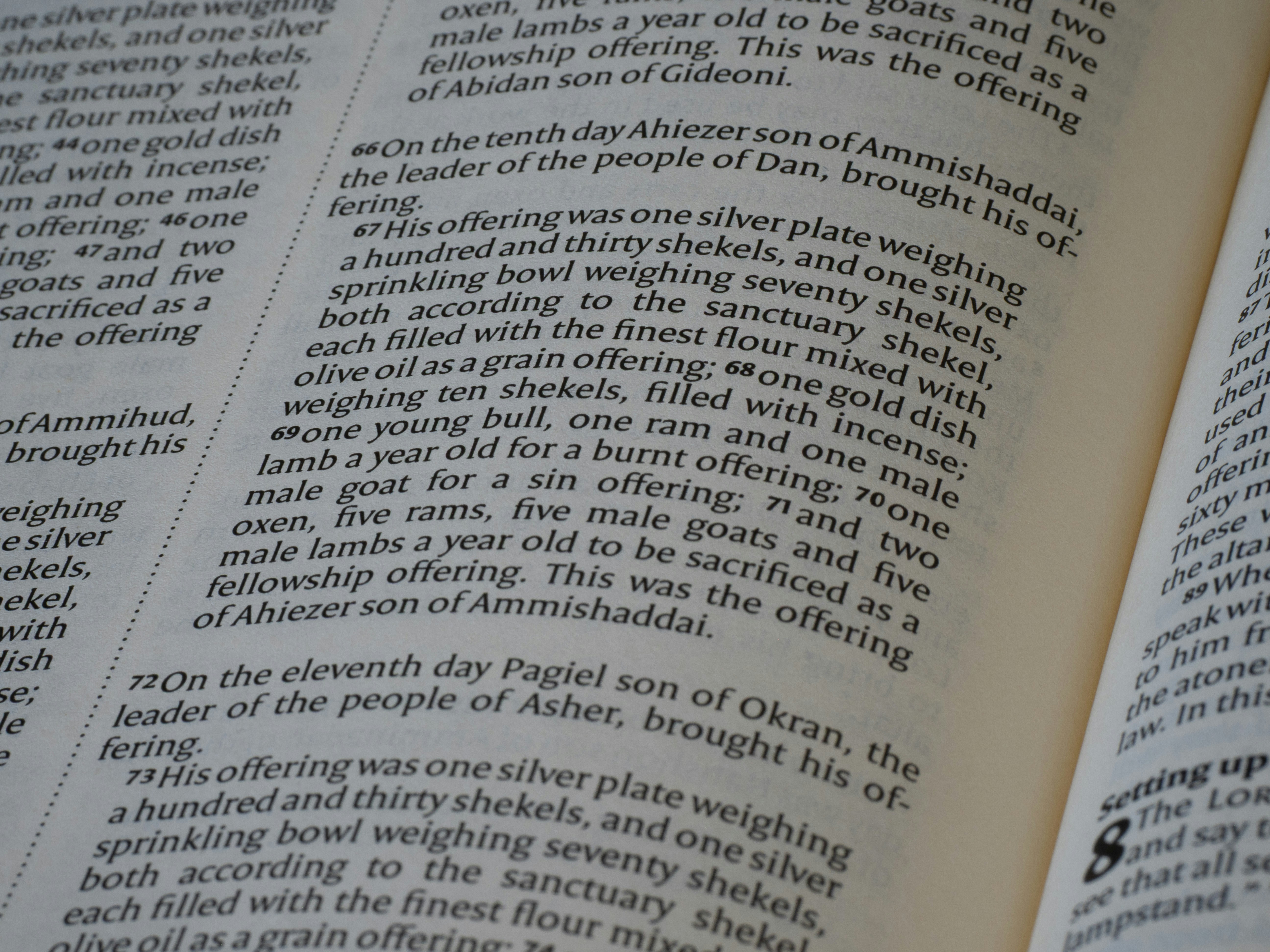 Close-up of text in an open book.