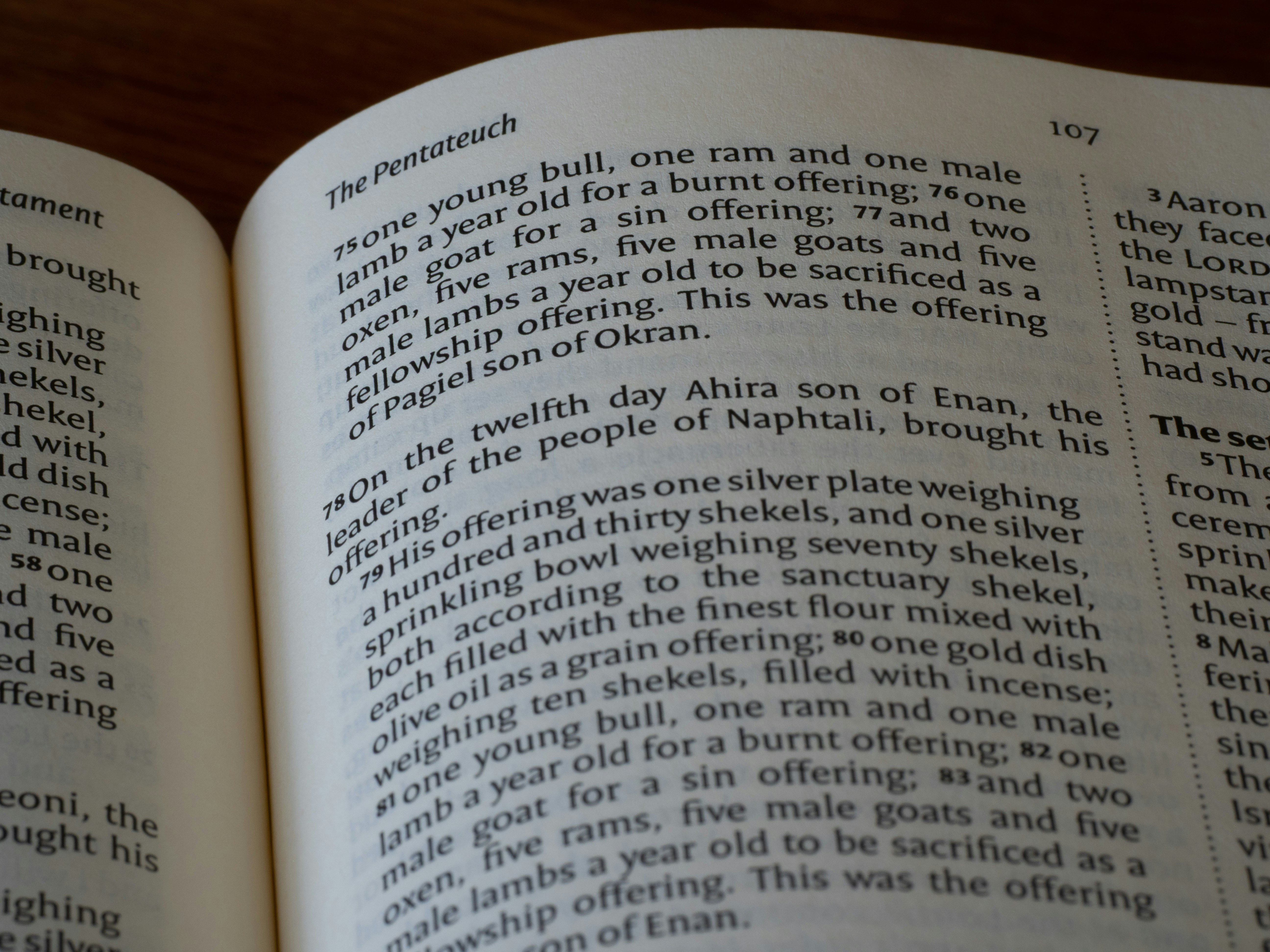 Printed text in an open bible.