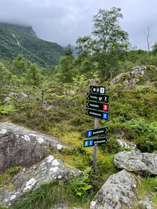 Wooden signpost with multiple directions in a green mountain valley