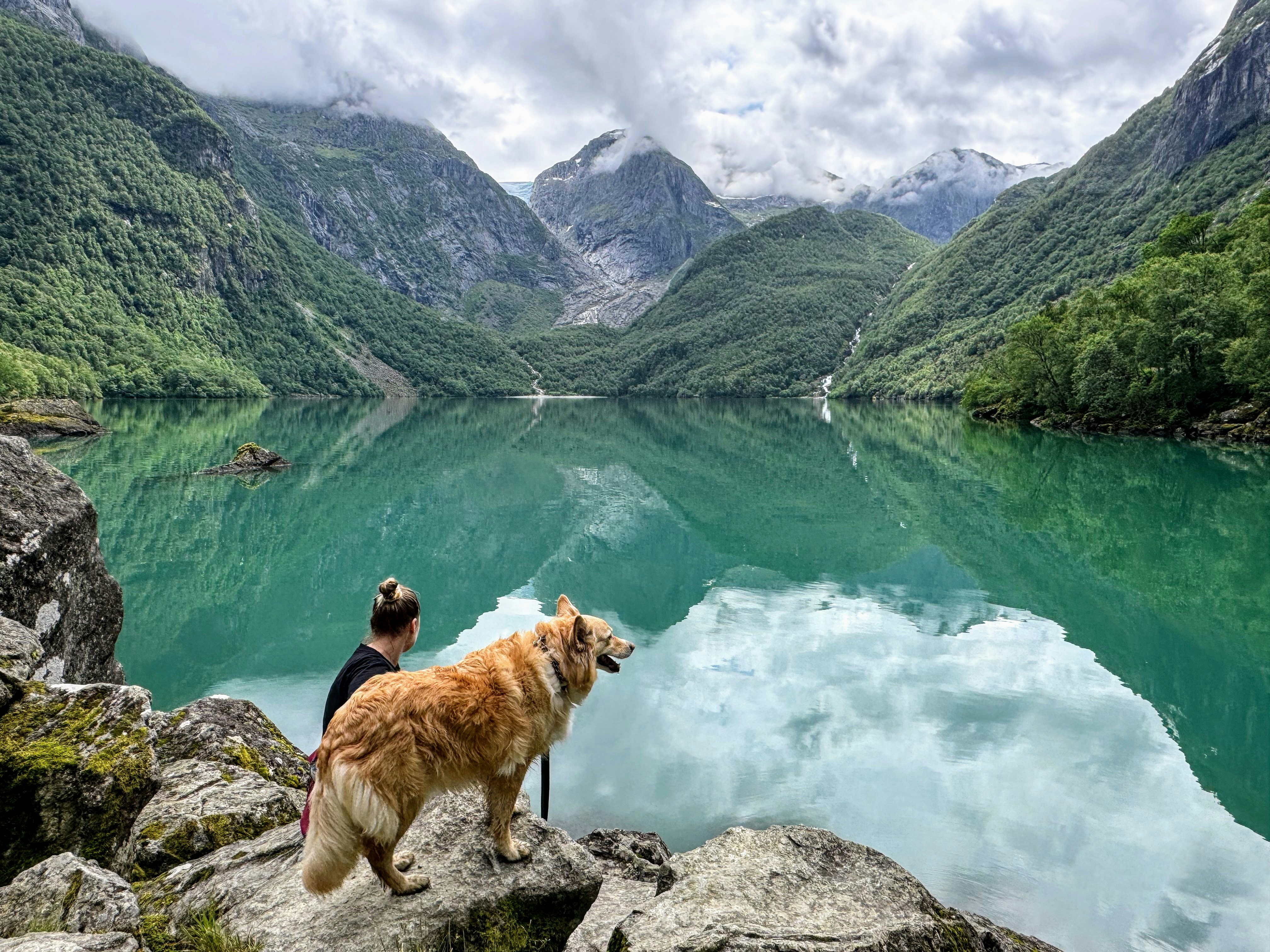 Una persona y un perro junto a un lago turquesa en una montaña.
