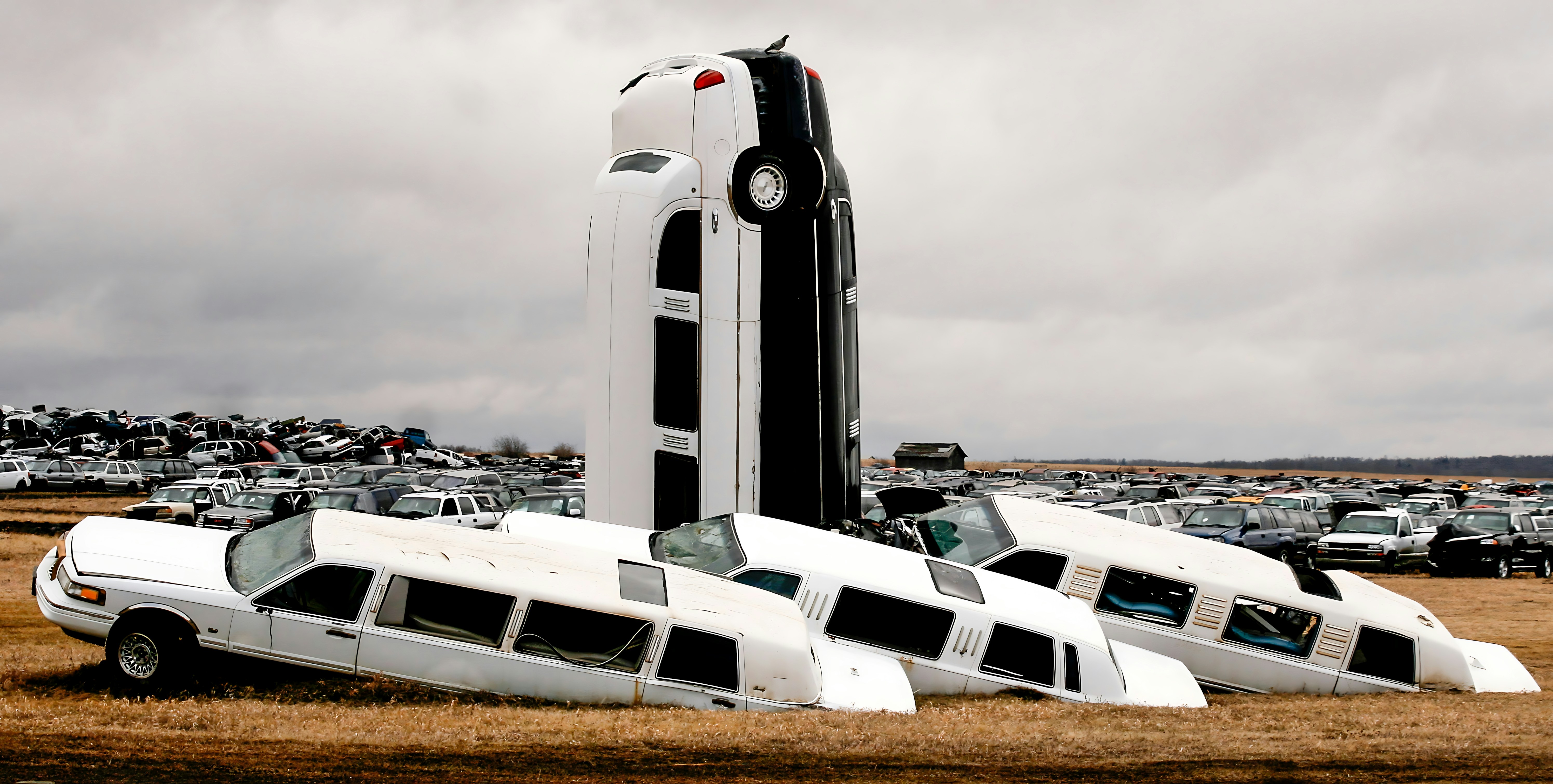 Cars White Limousines Buried In A Field, One Vertically Installed. 4K Wallpaper #2886