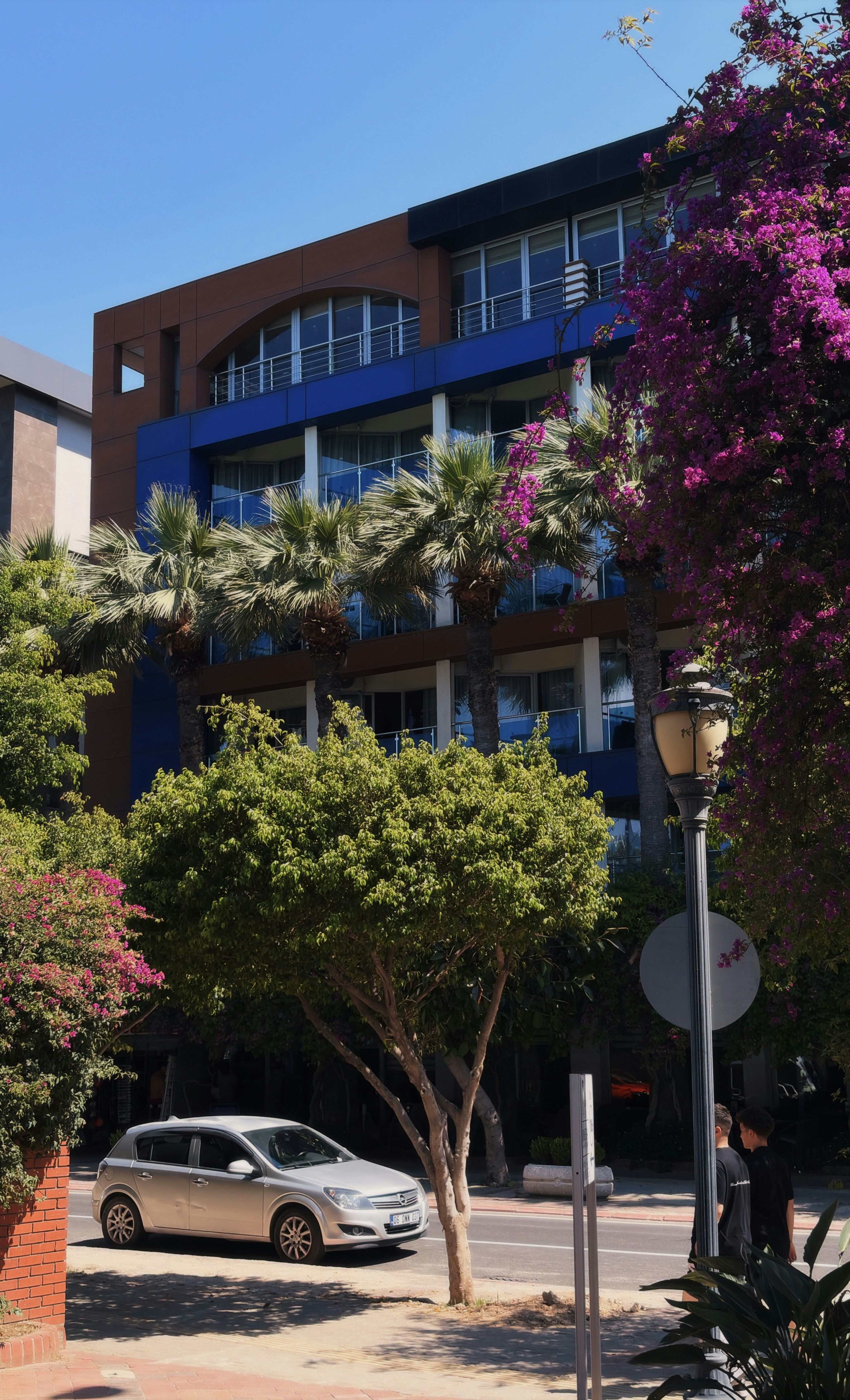 Blue and brown building with palm trees and a car