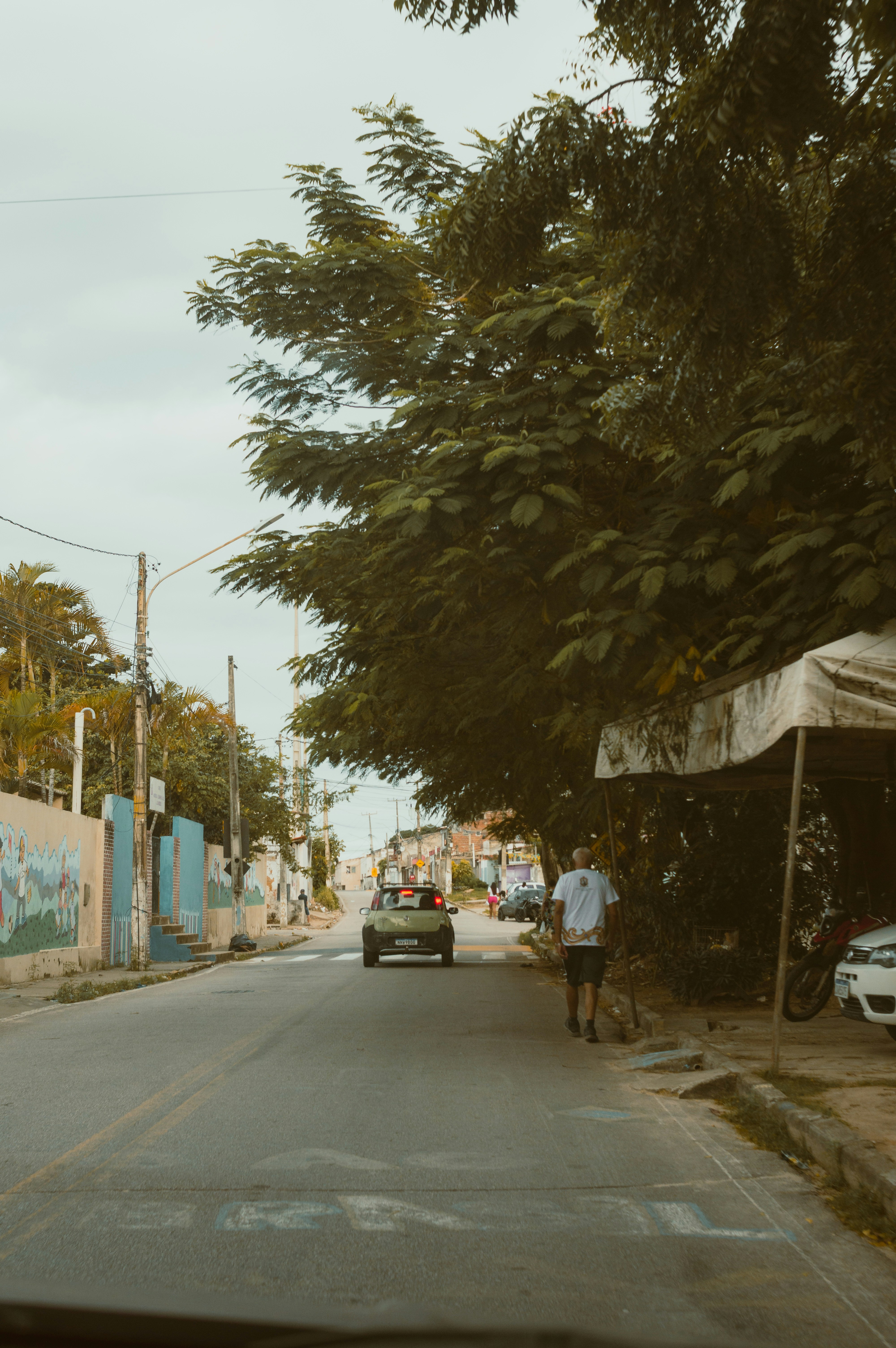 Budget: Hostels and Guesthouses