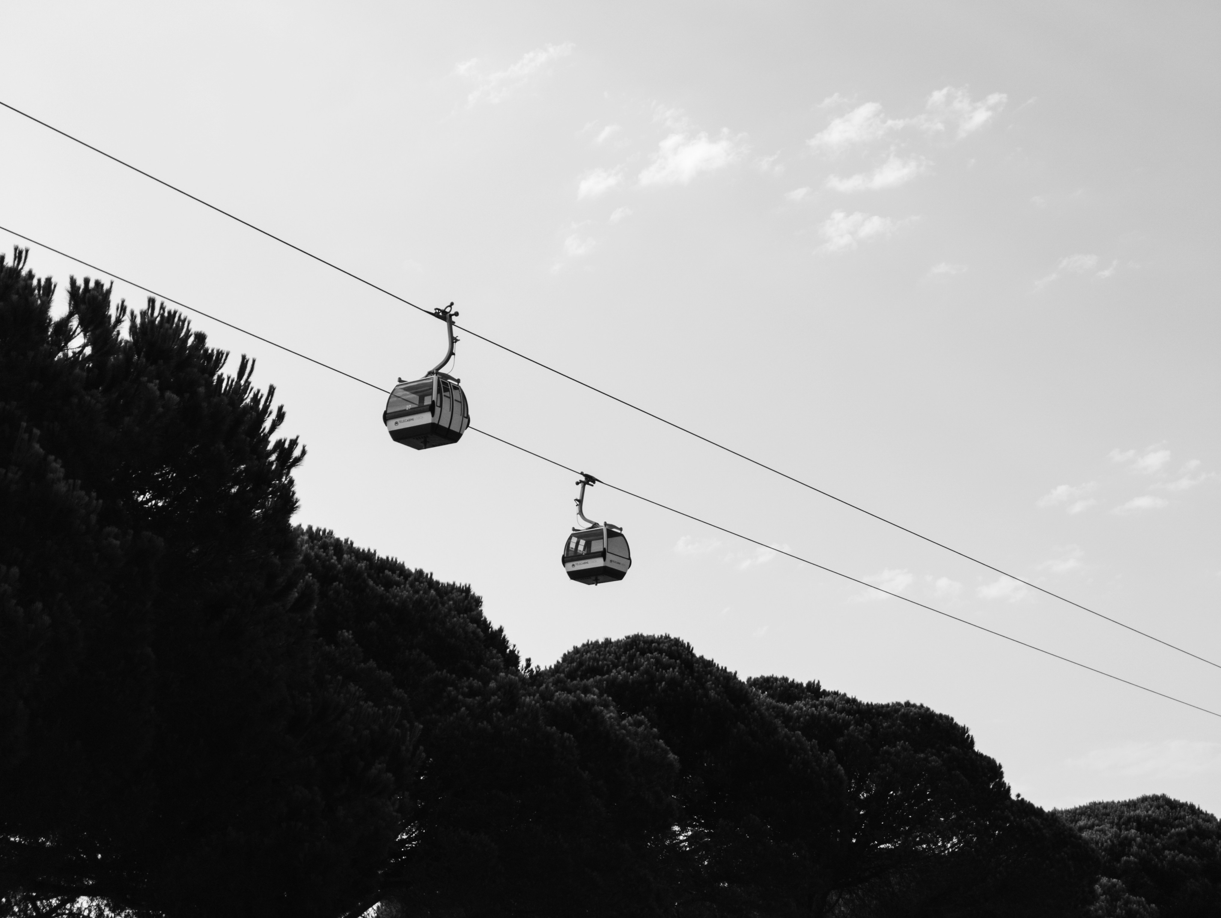 Two cable cars suspended over trees in black and white.