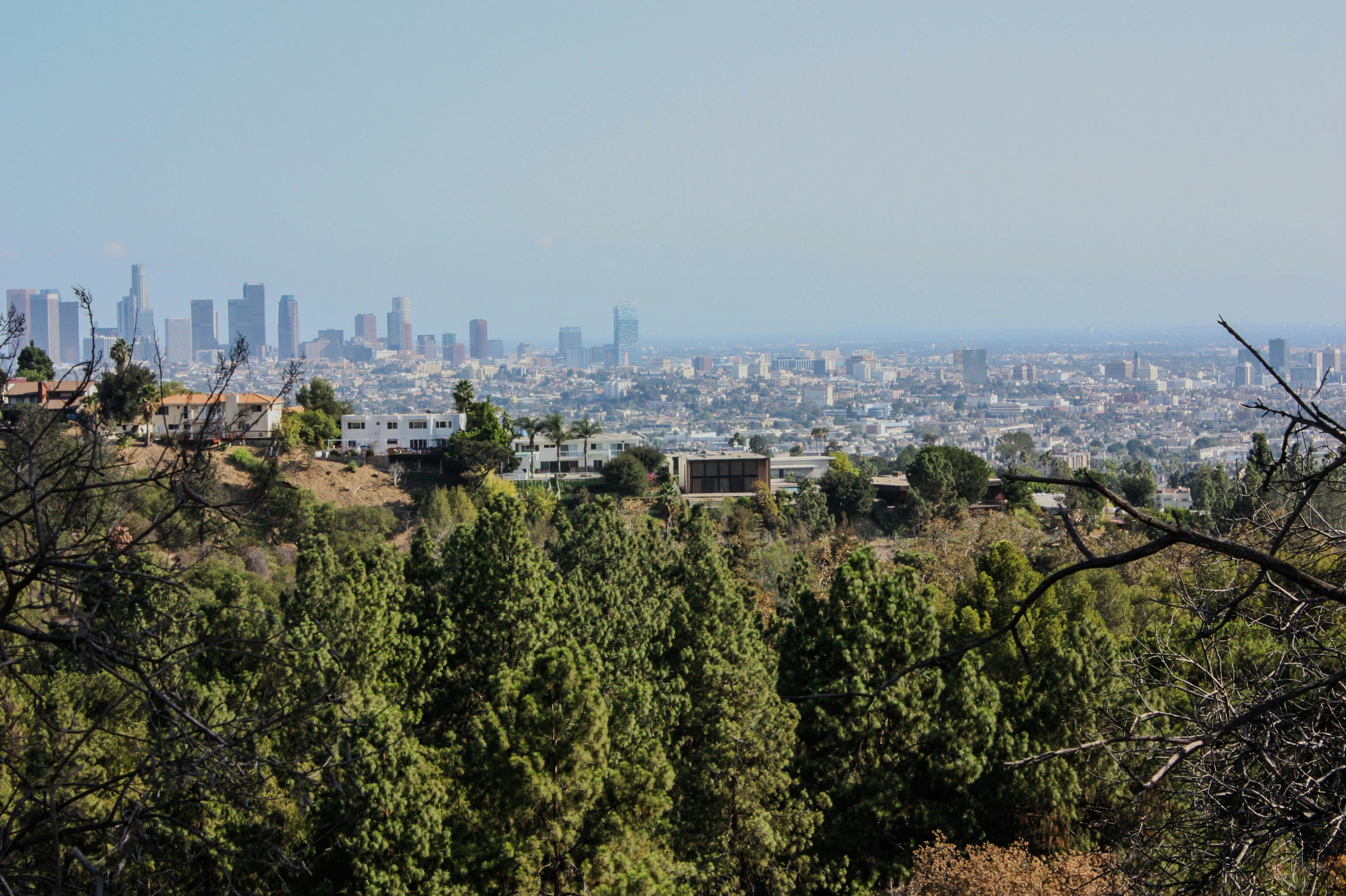 Quiet hillside residential street above the San Fernando Valley at golden hour