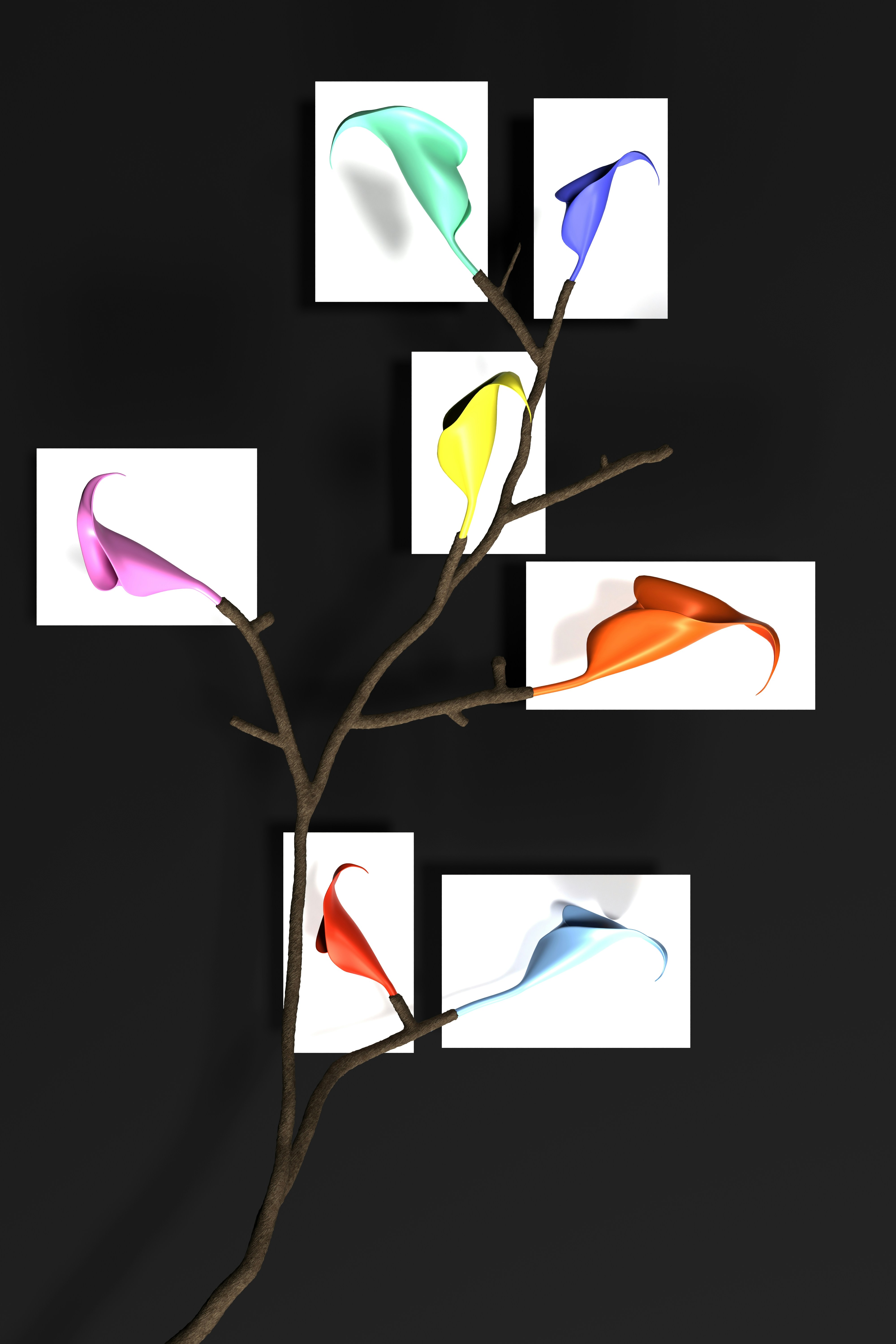 A branch with multiple frames displaying colorful calla lilies
