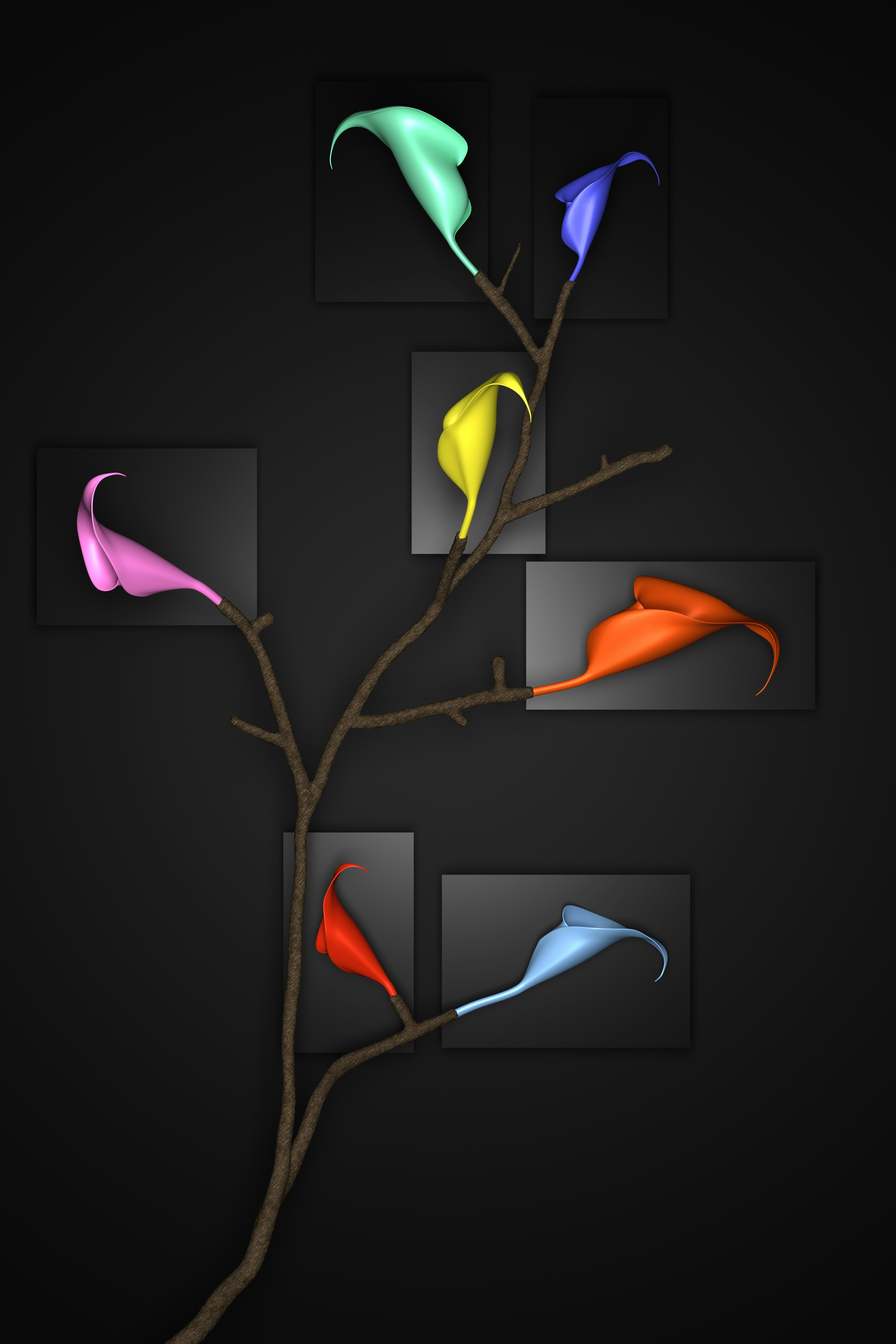 A branch with colorful calla lilies on a dark background