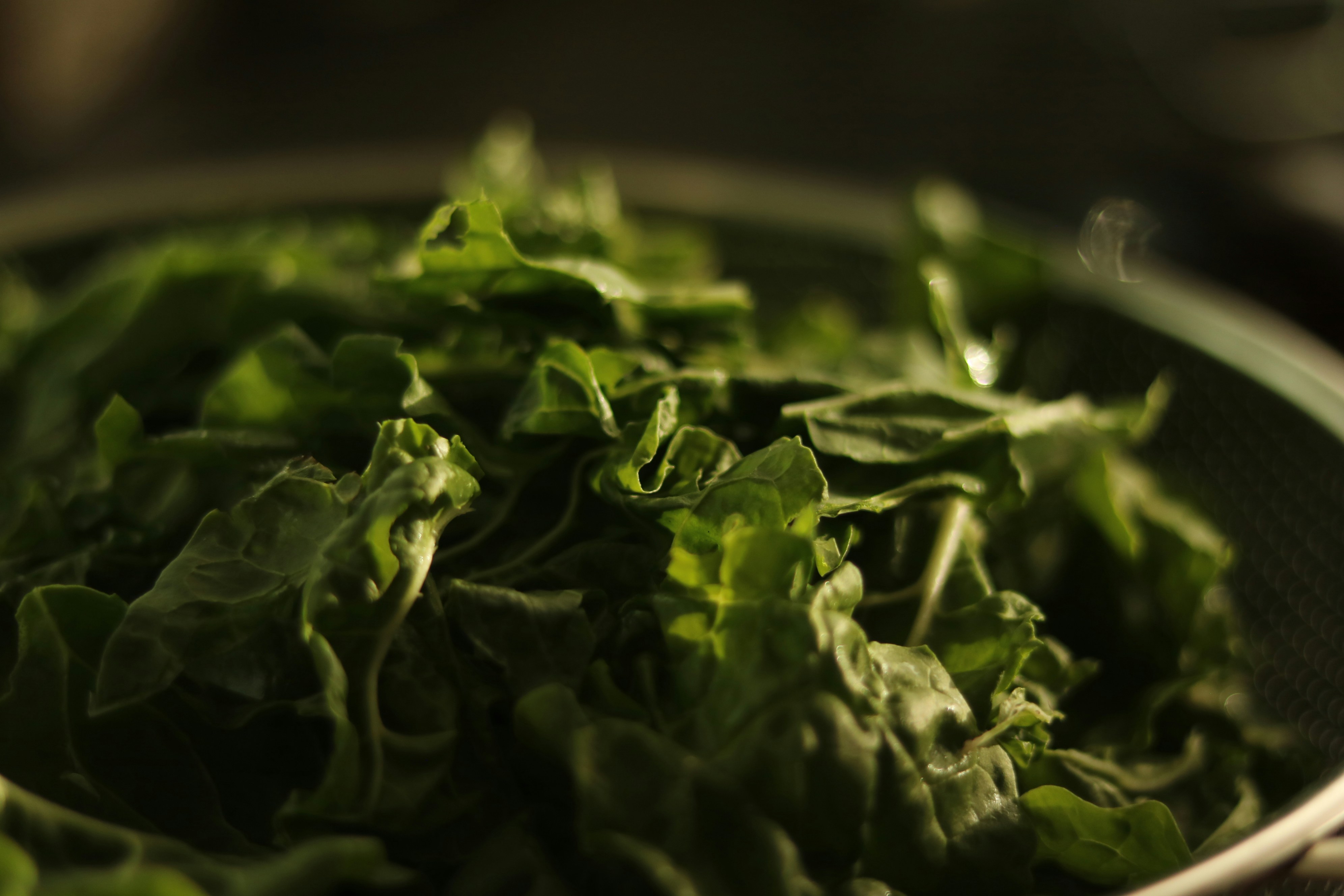 Un bol de légumes frais, vert foncé, à feuilles.