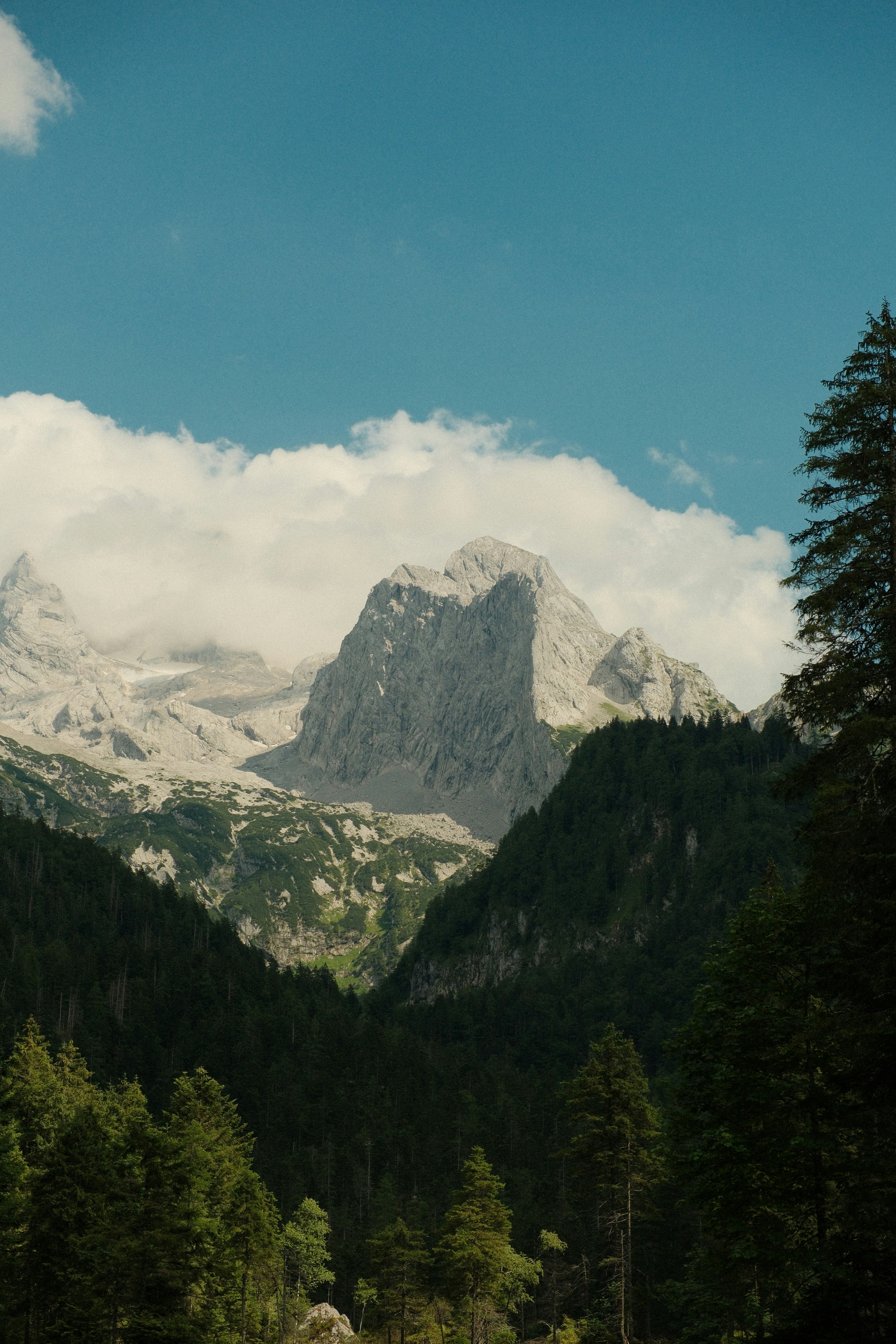 Rocky mountain peak towering above green pine forests