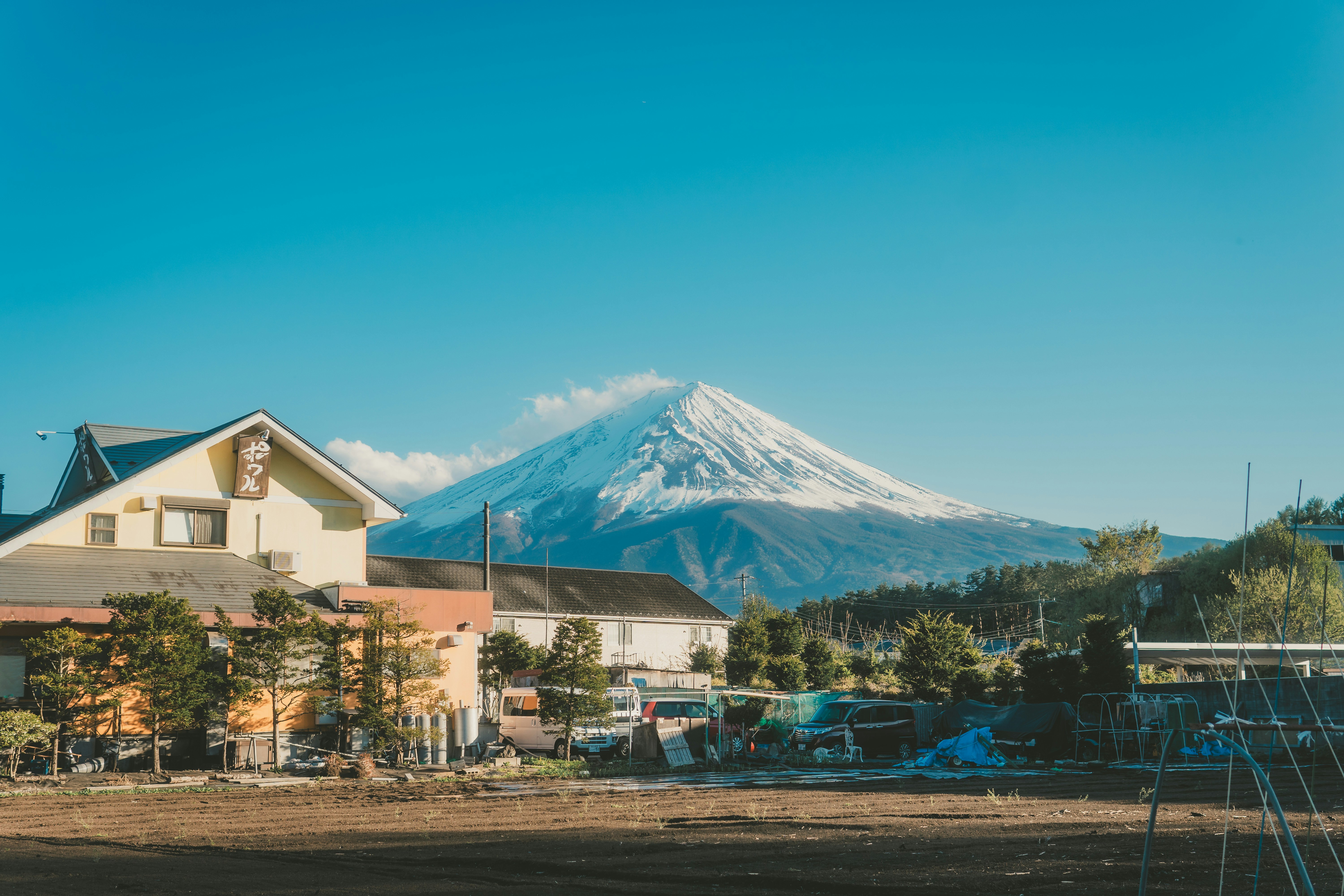 积雪覆盖的富士山在房屋和树木上方升起。