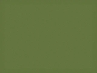 A solid green background fills the frame.
