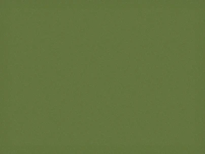 A solid green background fills the frame.