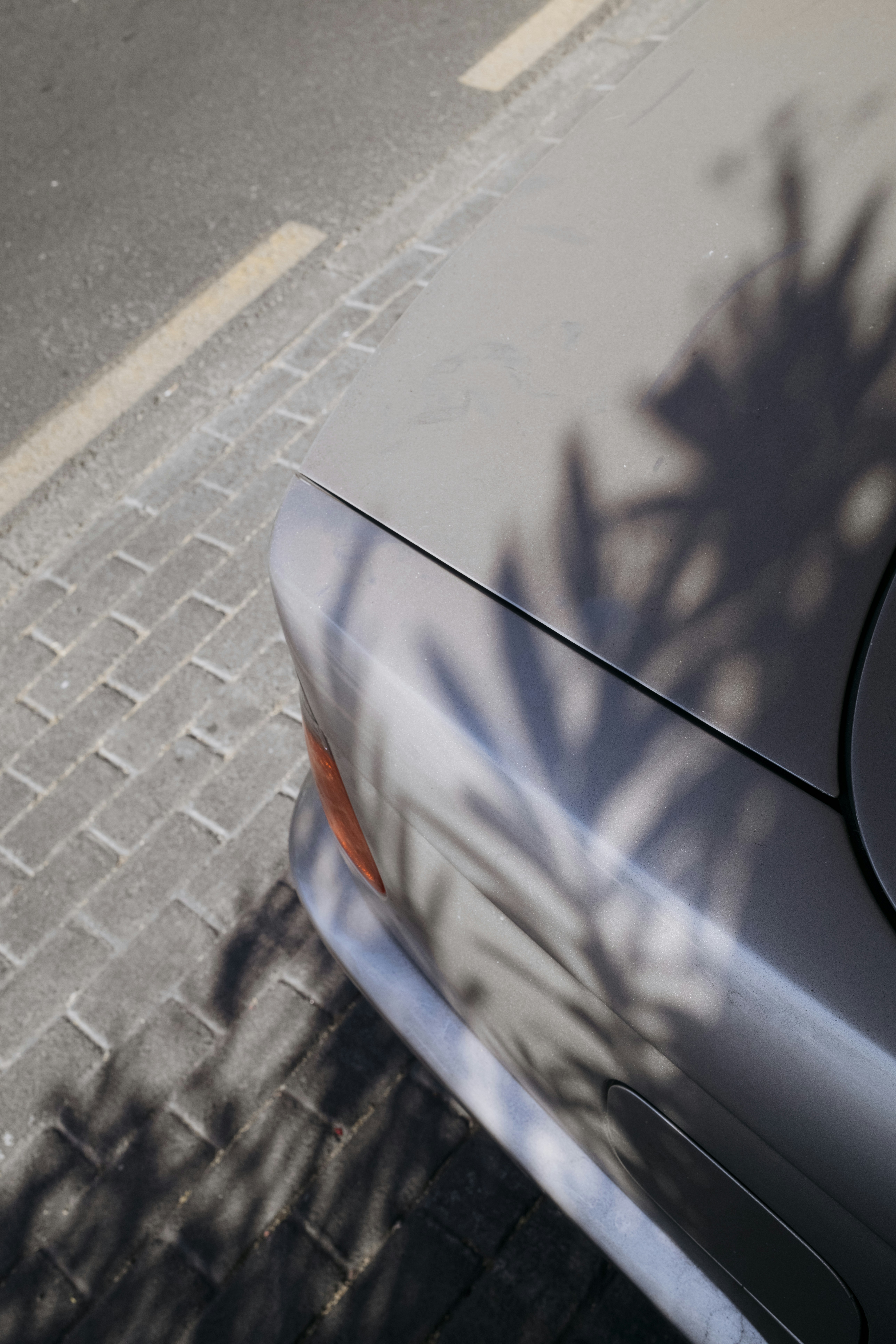 Sunlight casts palm shadows on a silver car and pavement.