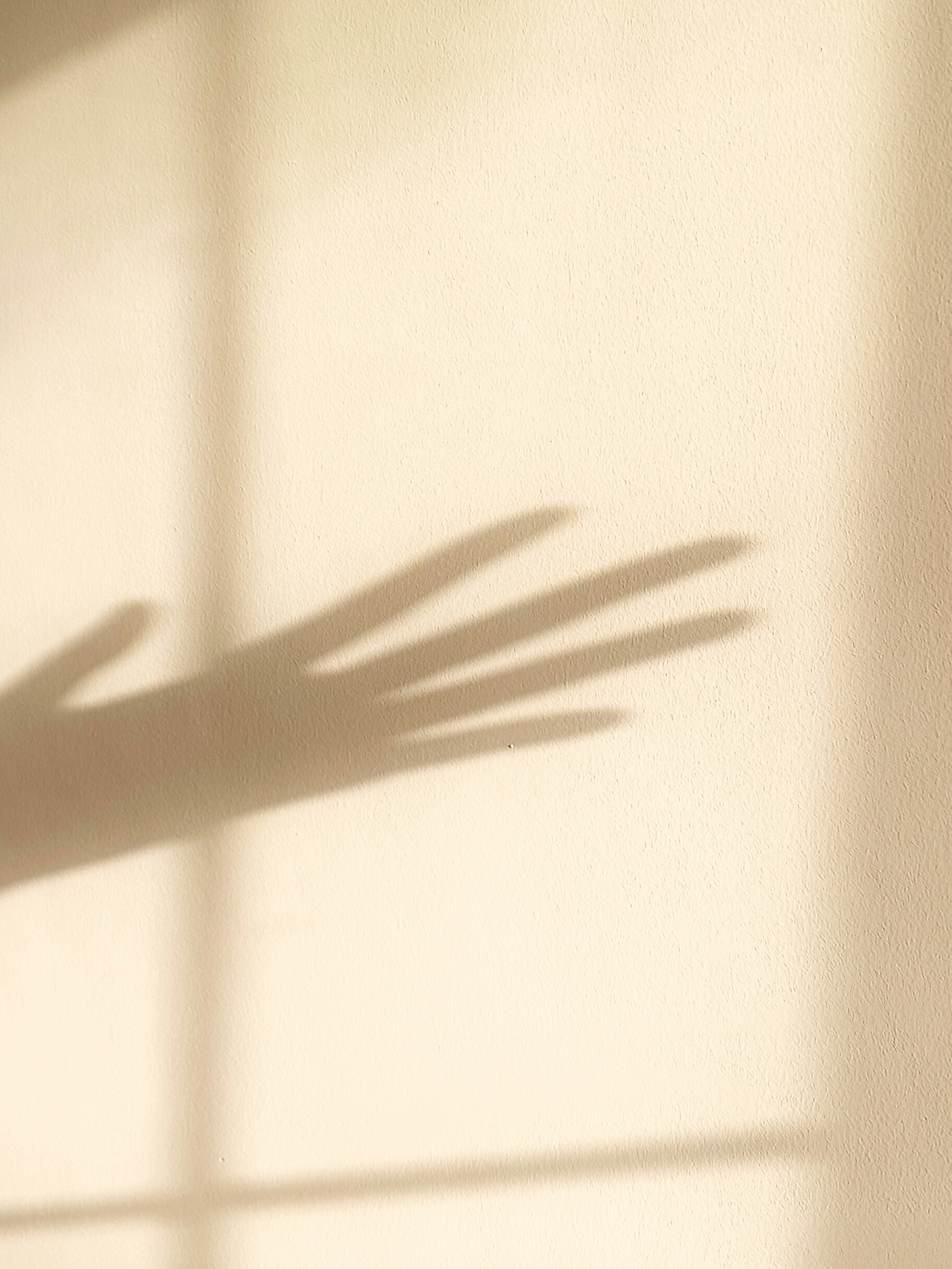 Hand and window shadows cast on a light wall.