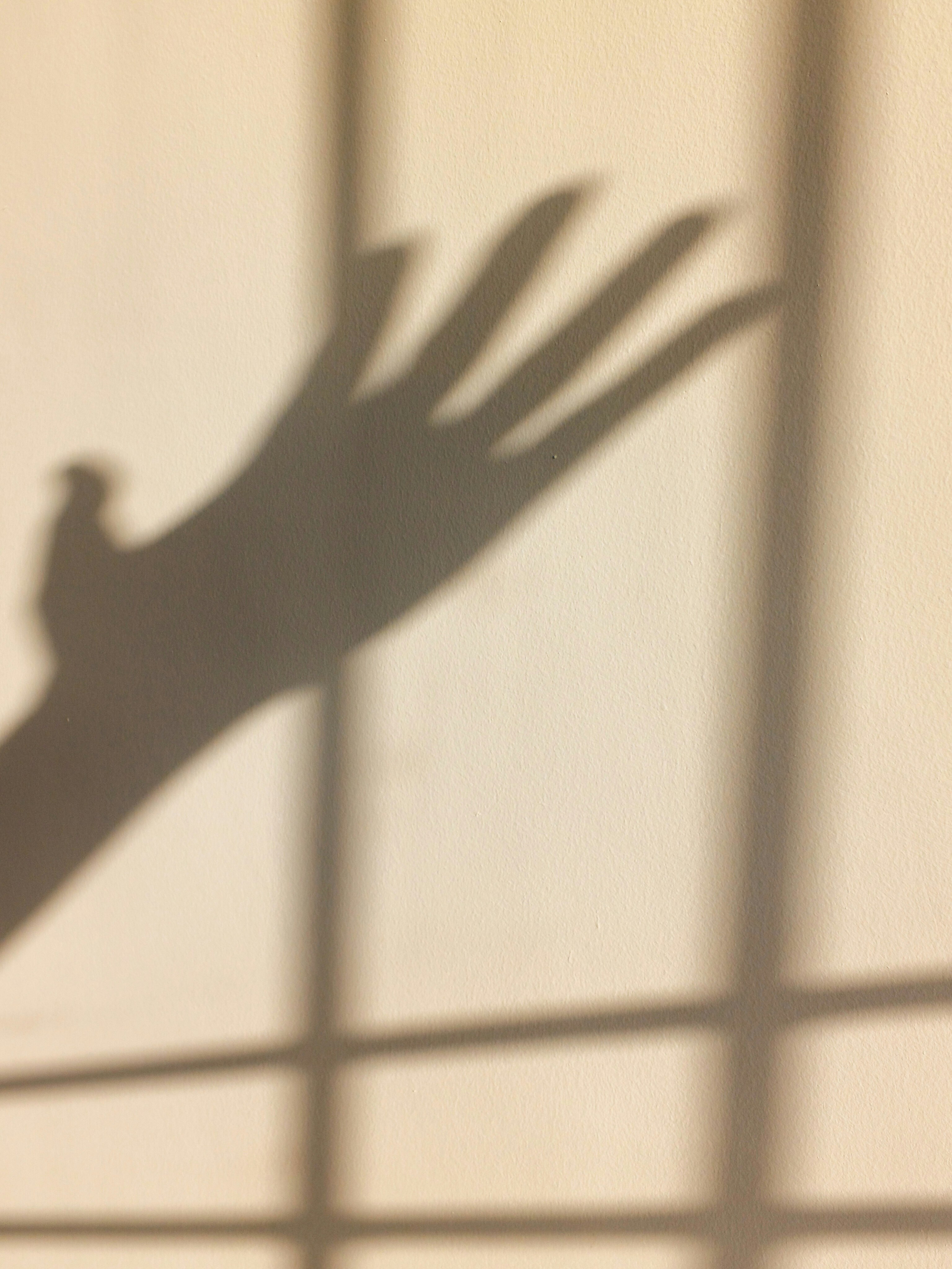 A shadow of a hand on a light-colored wall