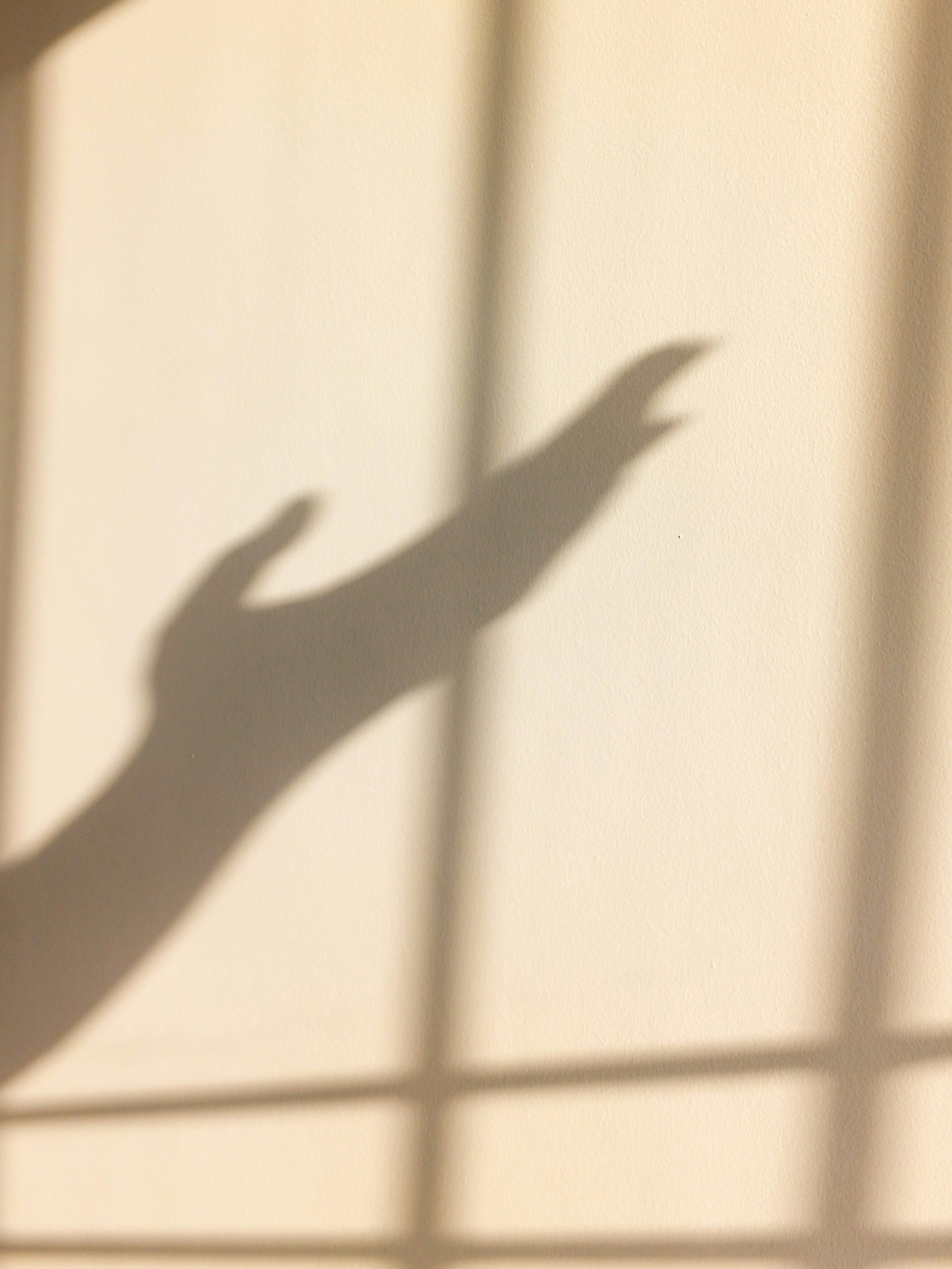 Shadow of a hand reaching out on a sunlit wall