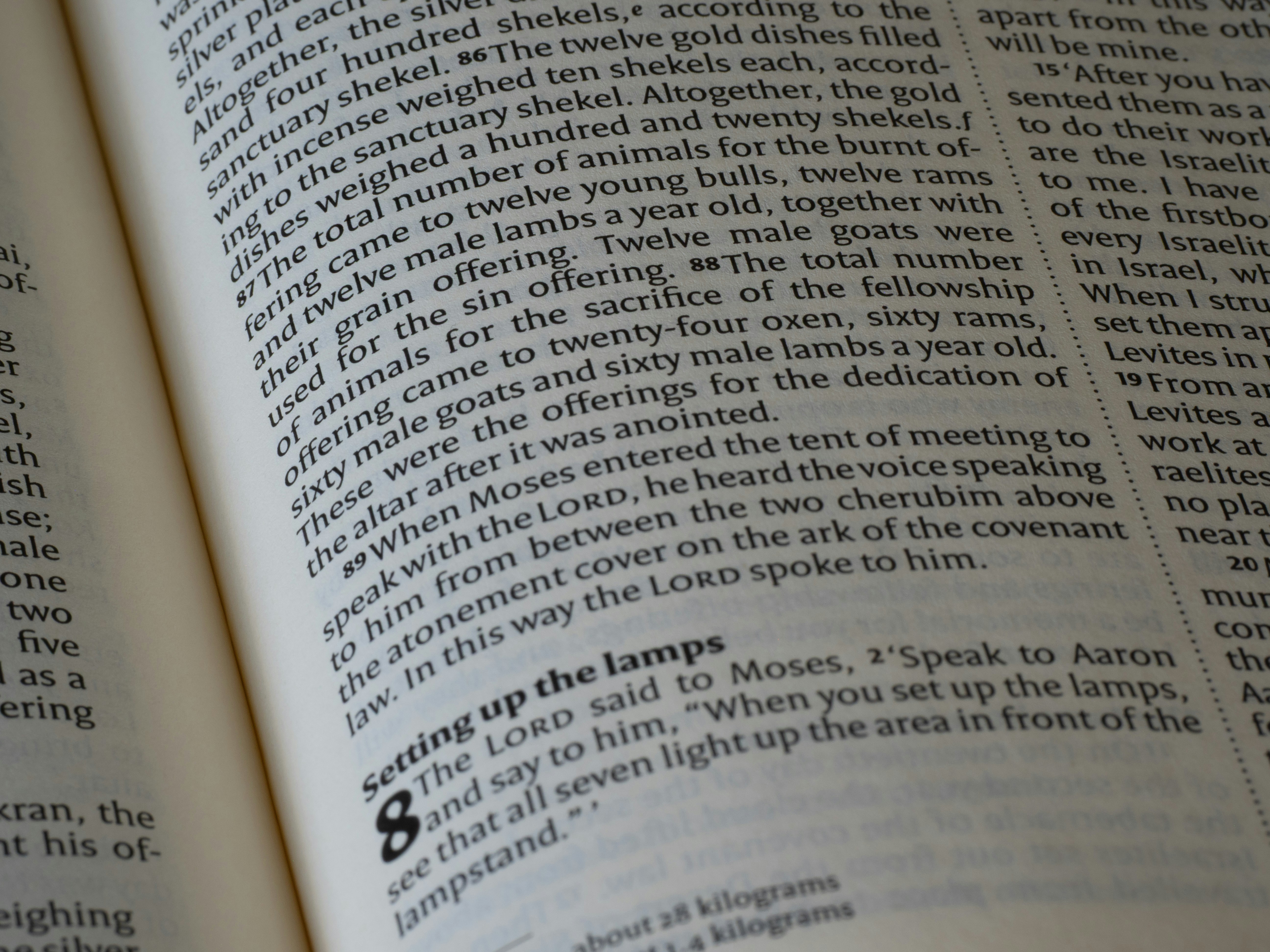 An open bible displaying text and chapter headings.