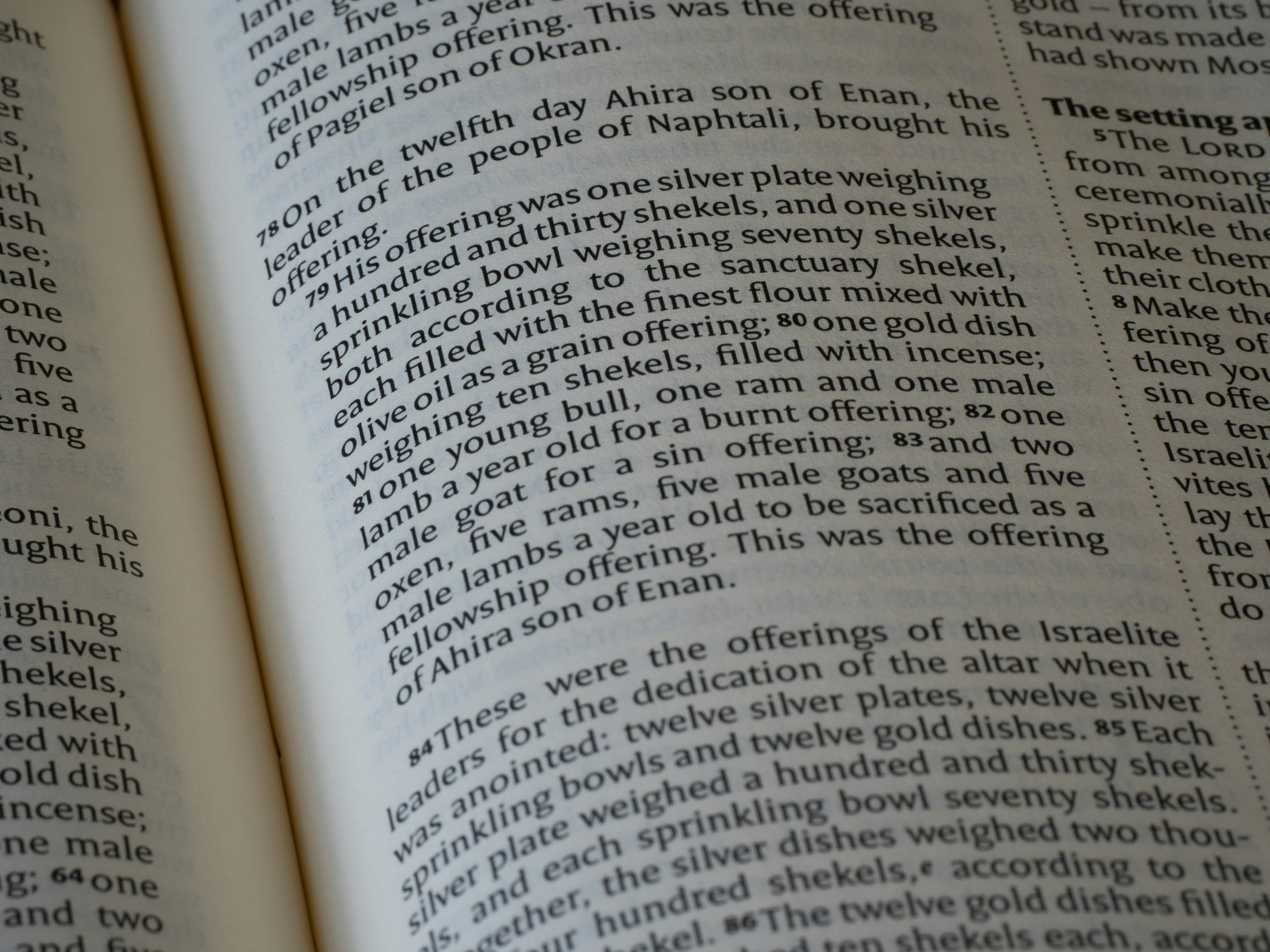 Detailed view of an open bible with printed text.