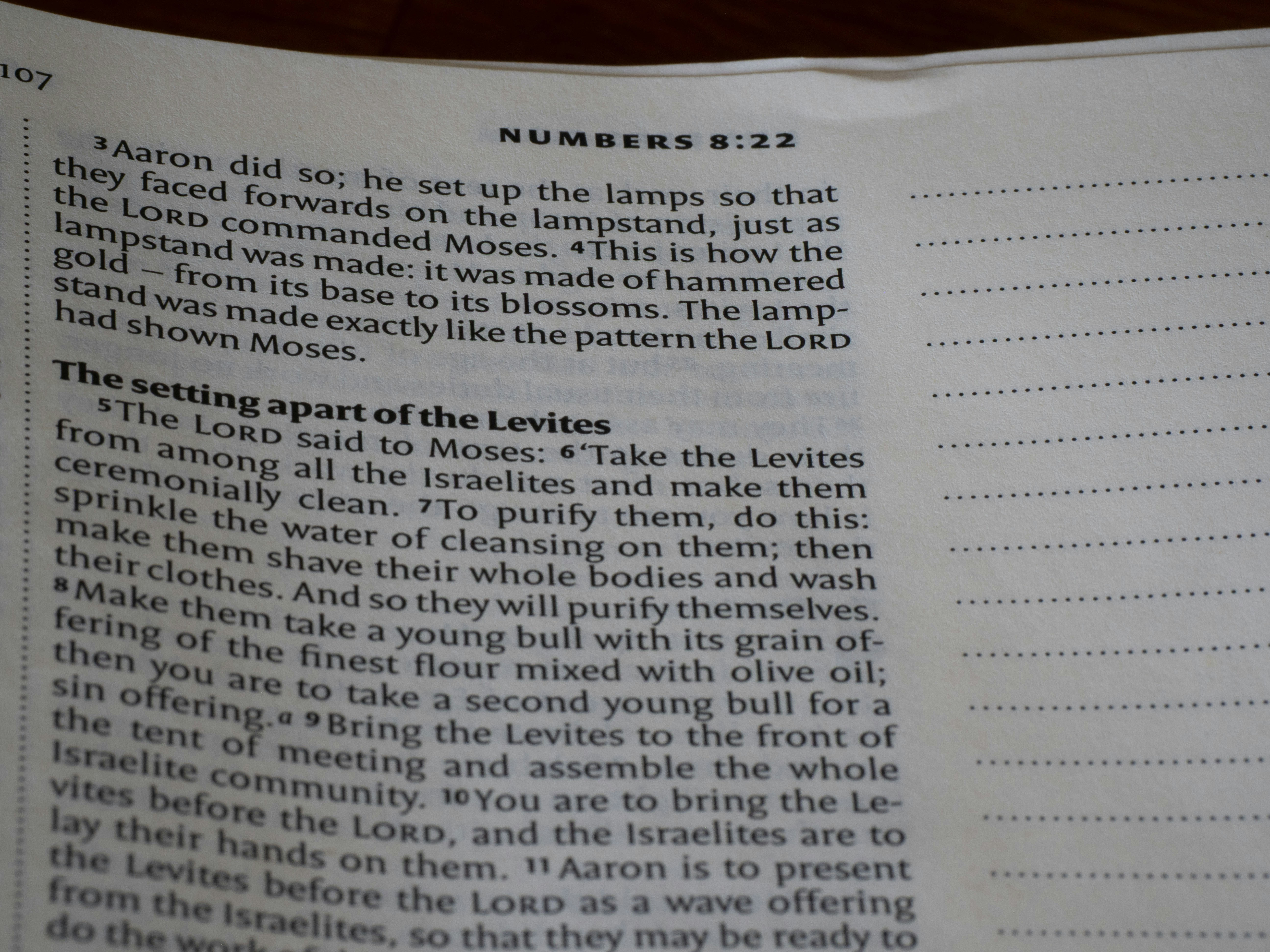 Open bible displaying text from the book of numbers.