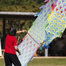 A person holds a large, colorful dragon kite outdoors.