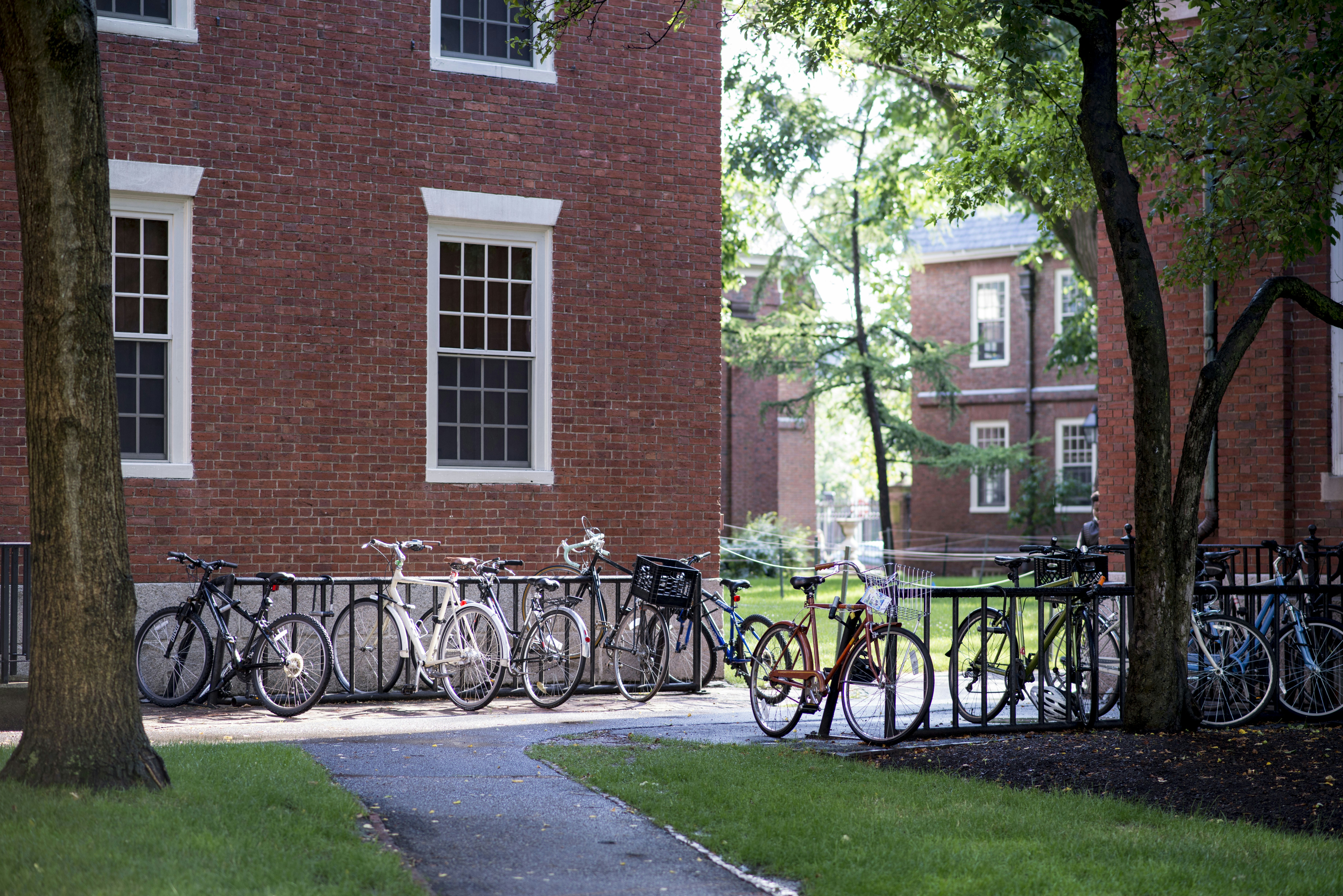 Bicycles parked outside brick university buildings on a sunny day