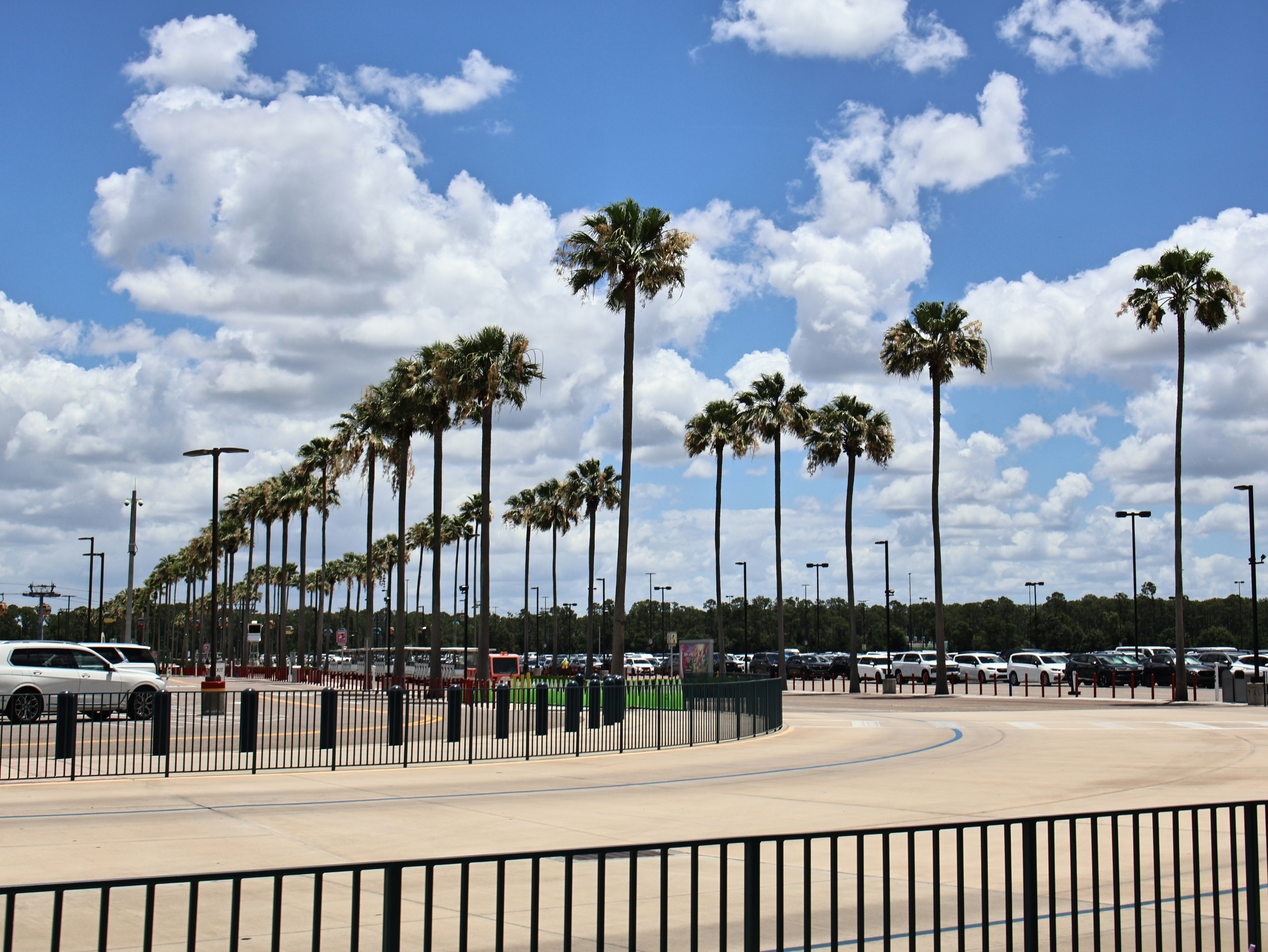 A parking lot with palm trees under a blue sky.