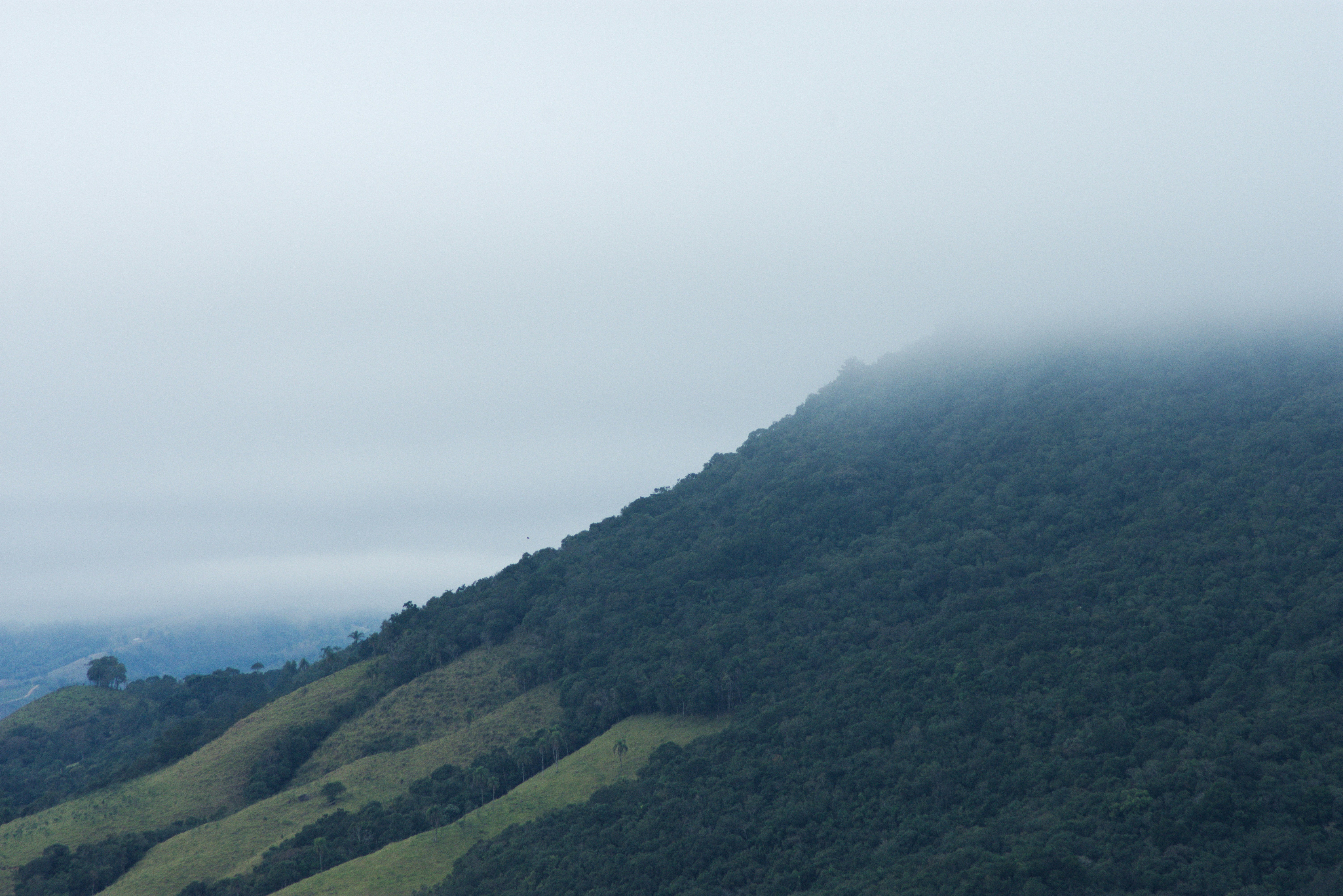 Green mountain shrouded in dense fog under a grey sky.