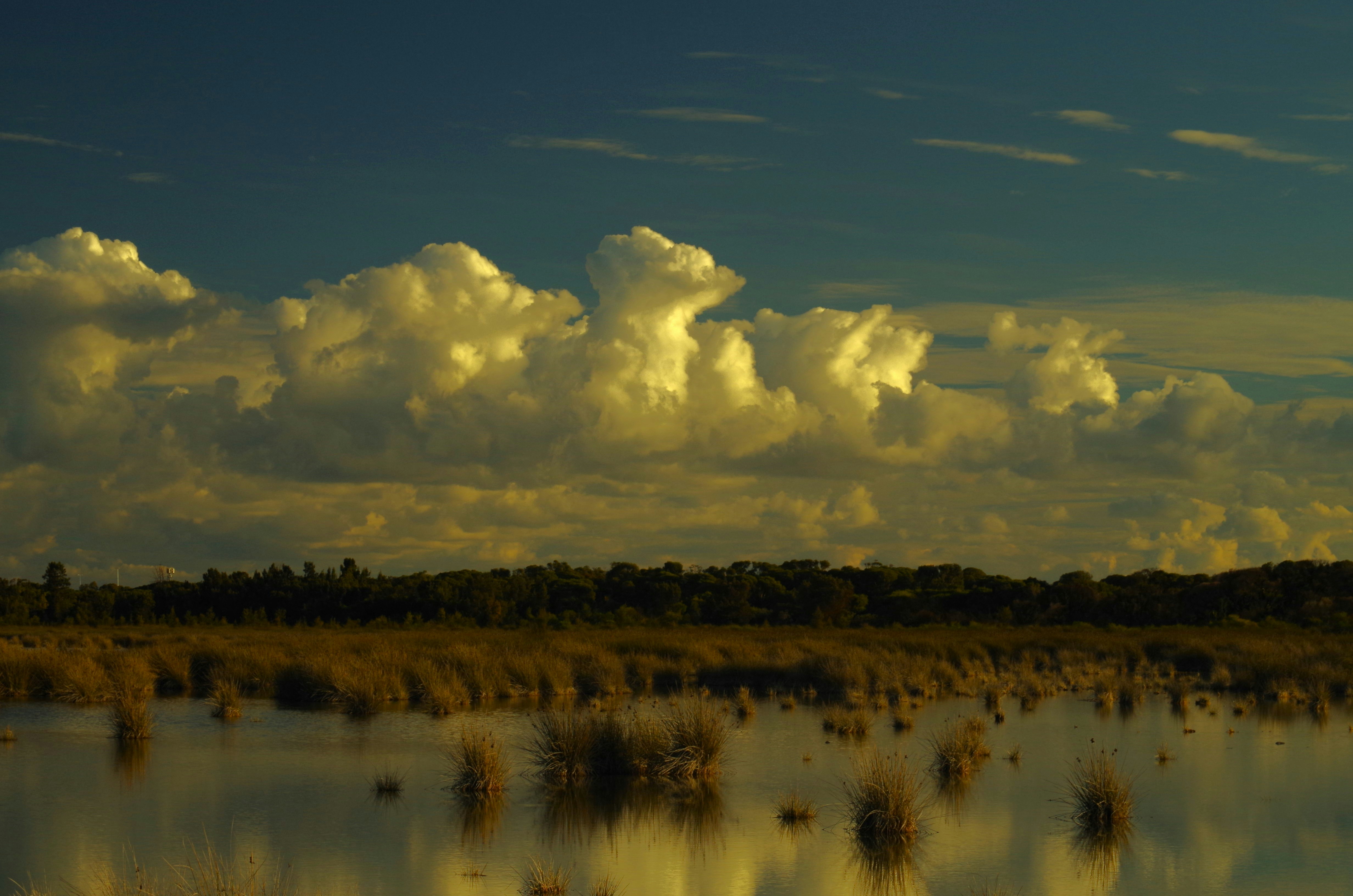 Dramatic golden clouds over a reflective marshland.